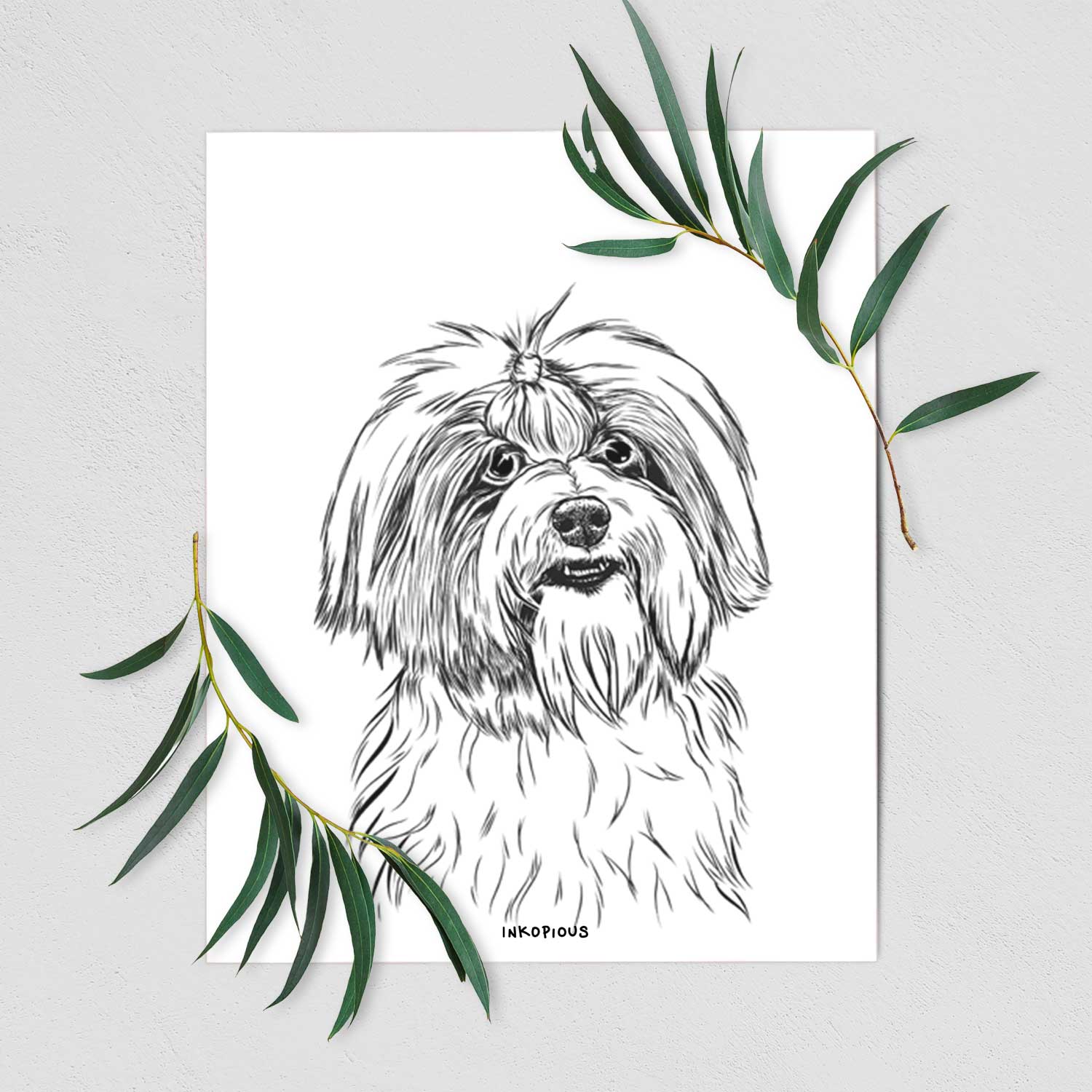 Dooley the Havanese Art Print