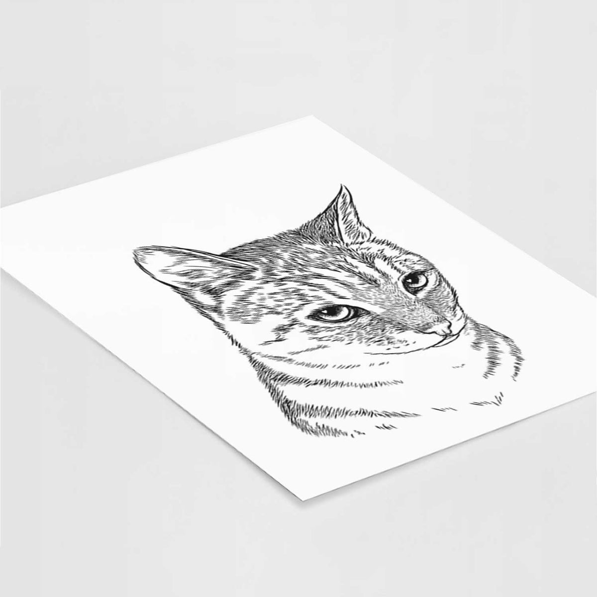 Dora the Tabby Cat Art Print