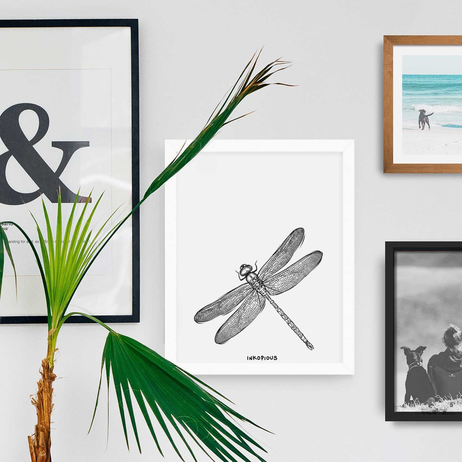 Dragonfly Art Print