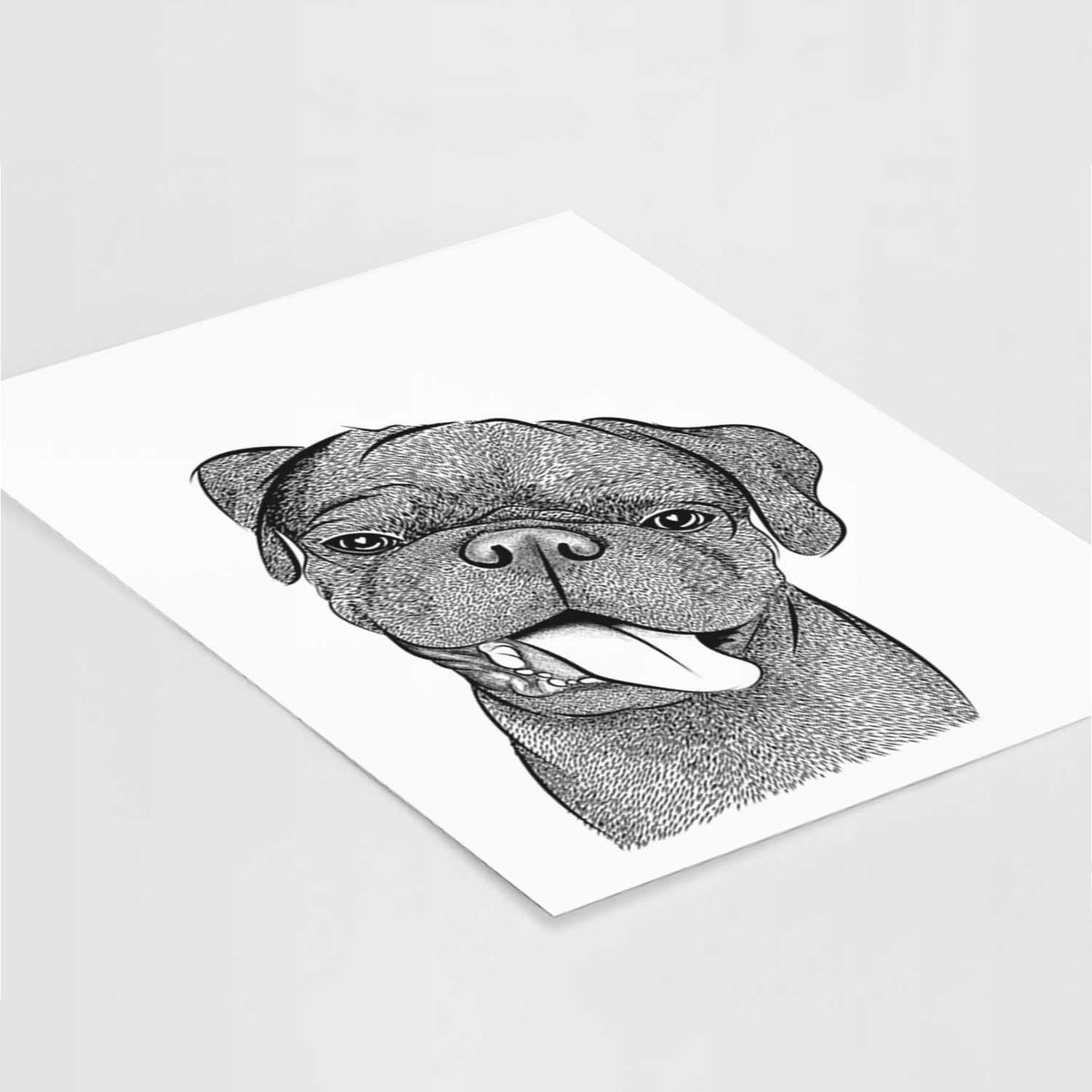 Dudley Danger the Pug Art Print