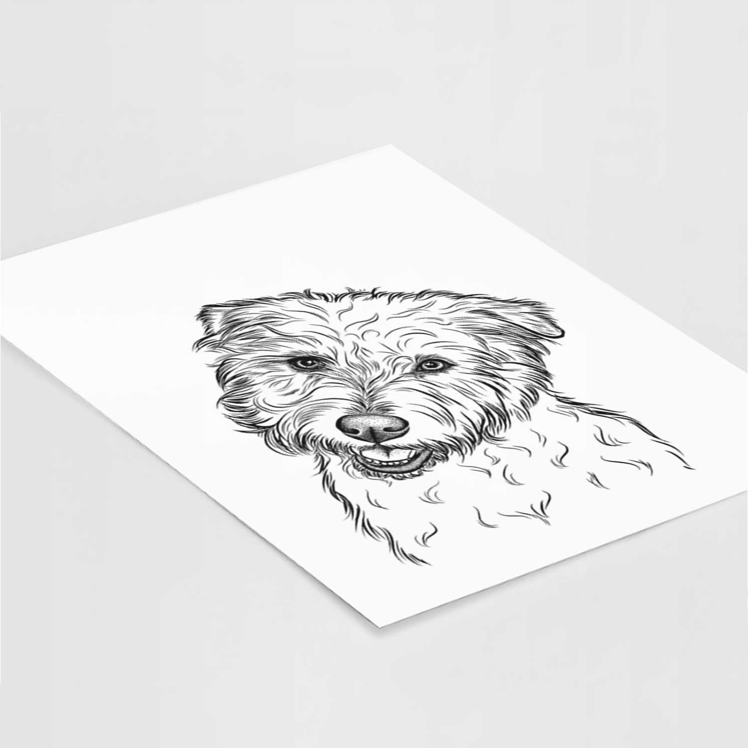 Duffy the Glen of Imaal Terrier Art Print