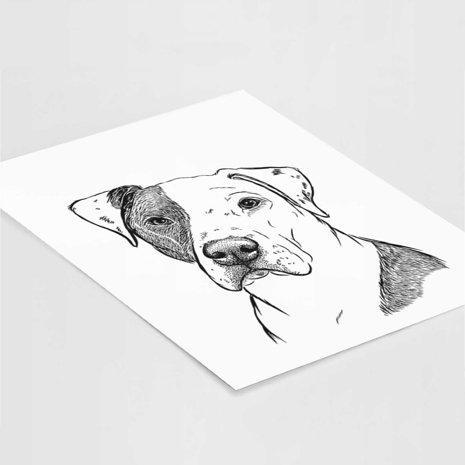 Duke the American Staffordshire Terrier Mix Art Print
