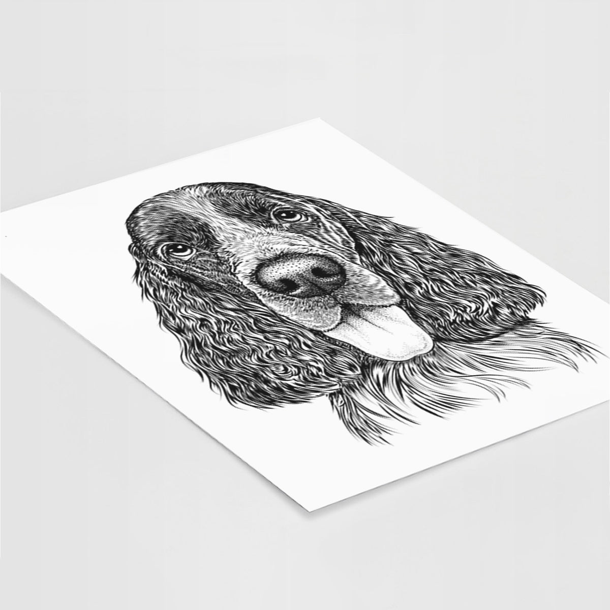 Duke the English Springer Spaniel Art Print