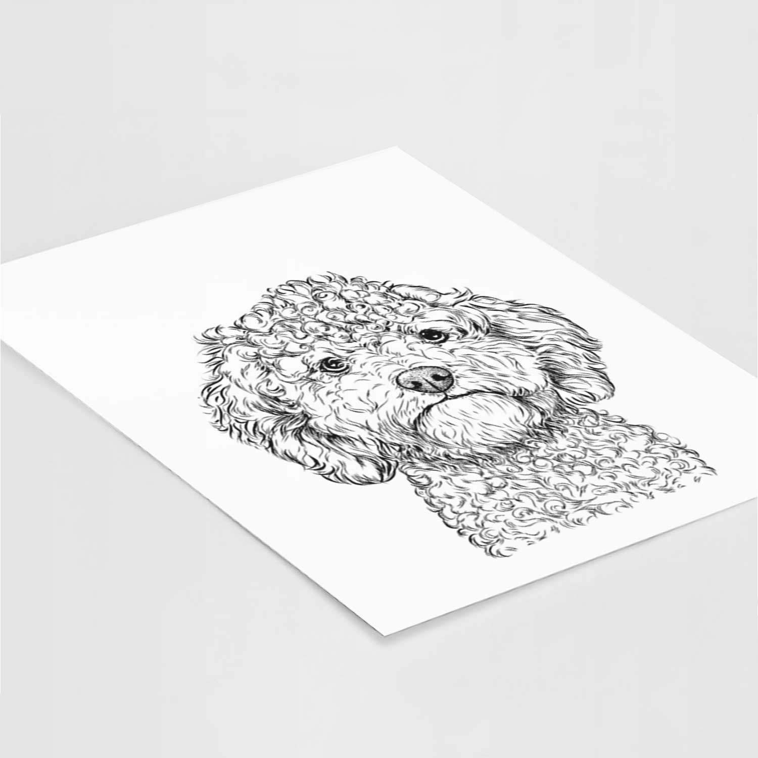 Edgar the Shihpoo Art Print