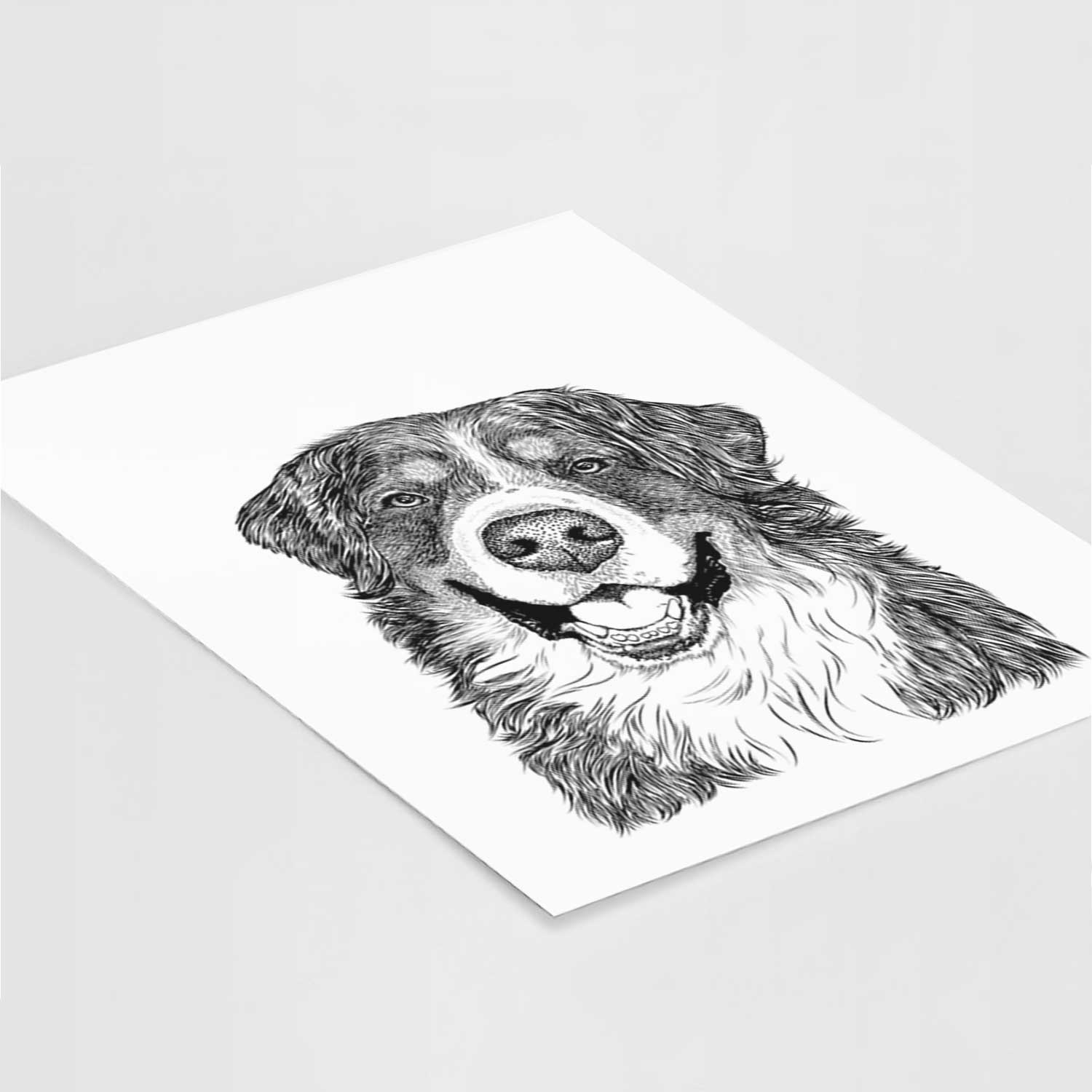 Eiger the Bernese Mountain Dog Art Print