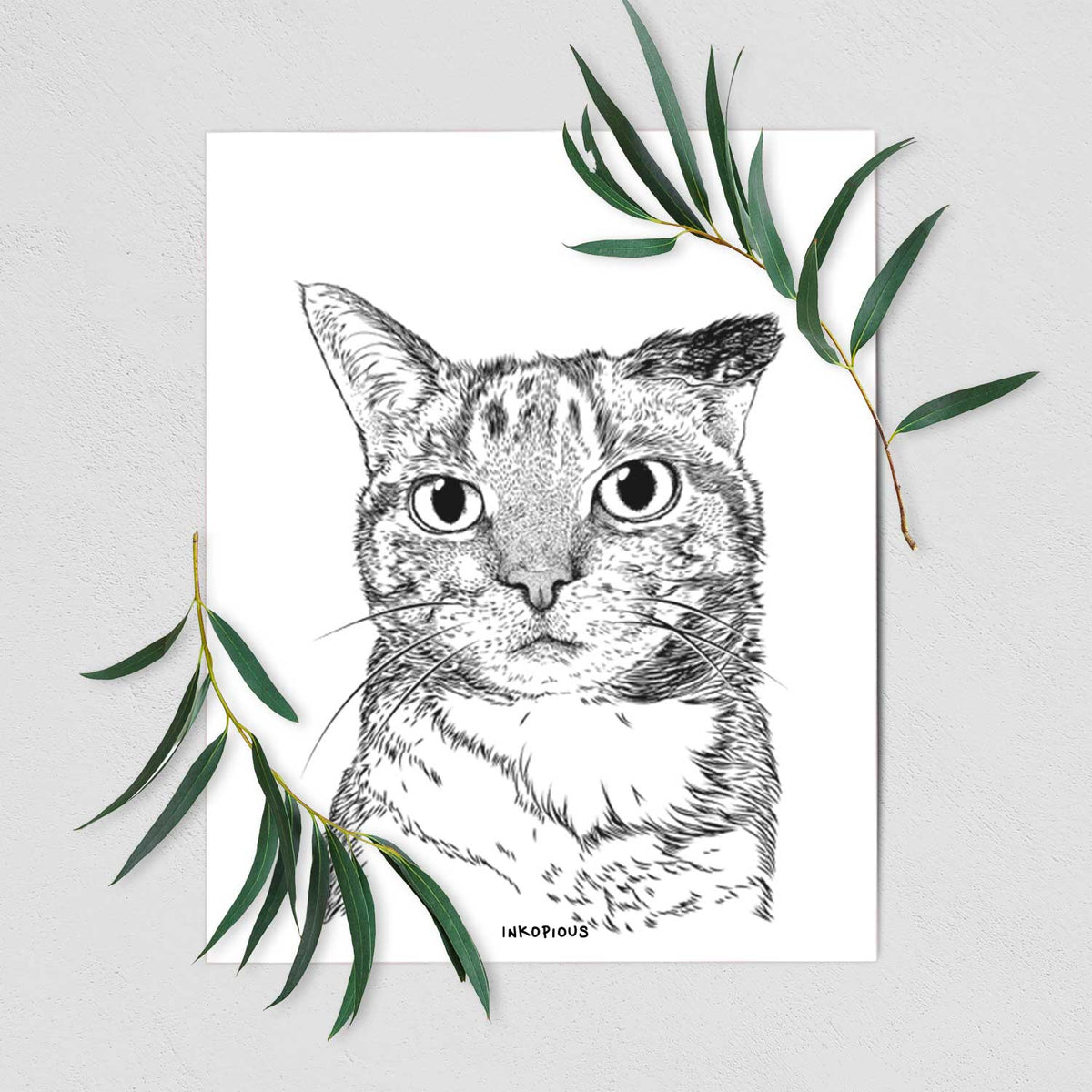 Eleanor the Domestic Shorthair Cat Art Print