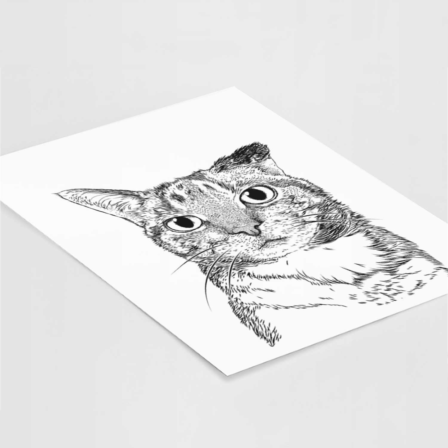 Eleanor the Domestic Shorthair Cat Art Print