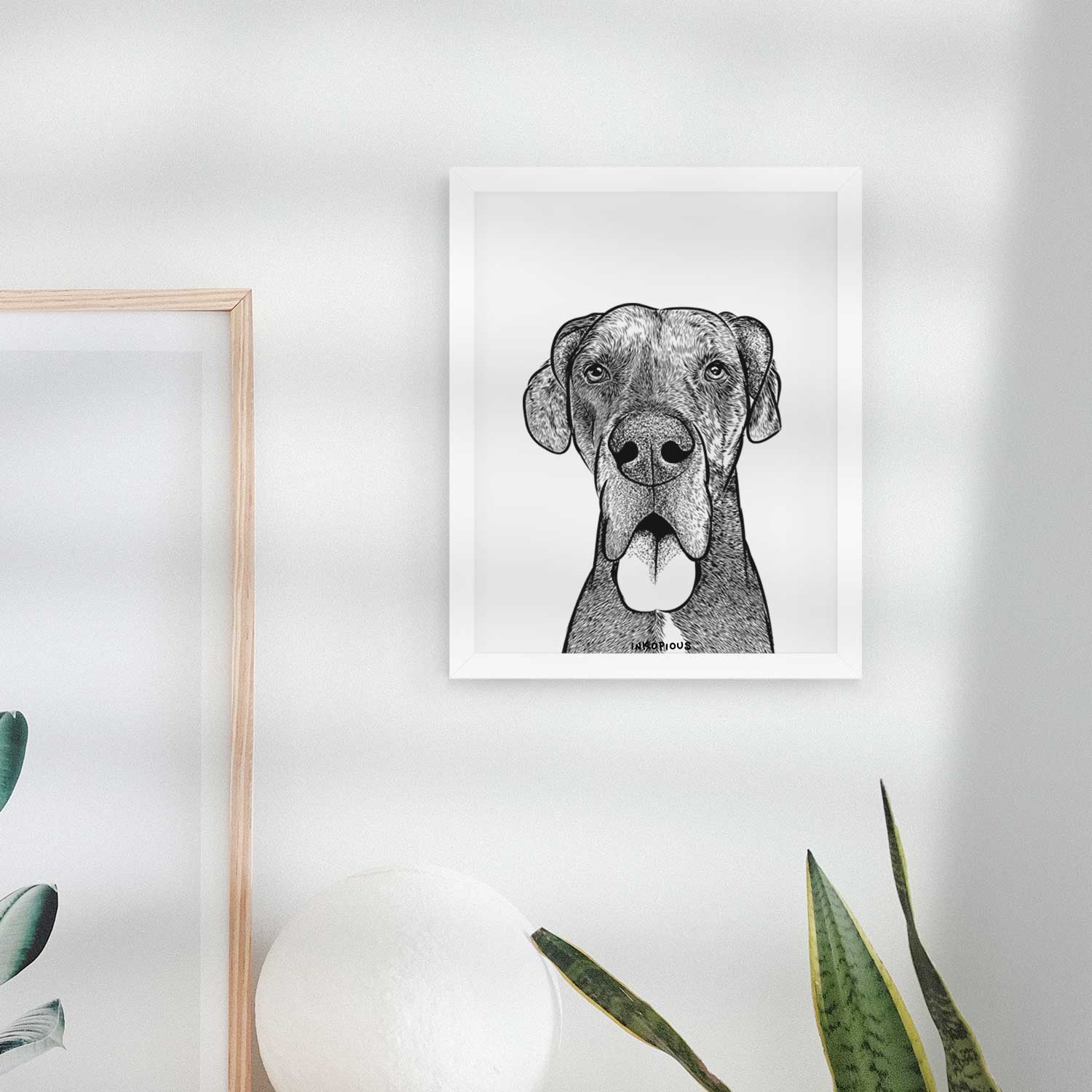 Eli the Great Dane Art Print