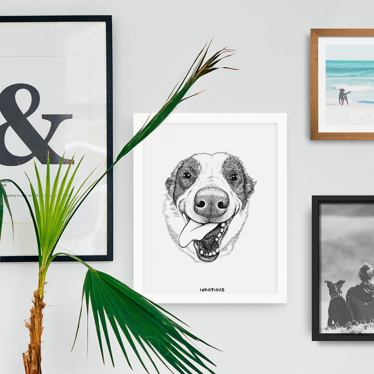Elwood the Border Collie Art Print