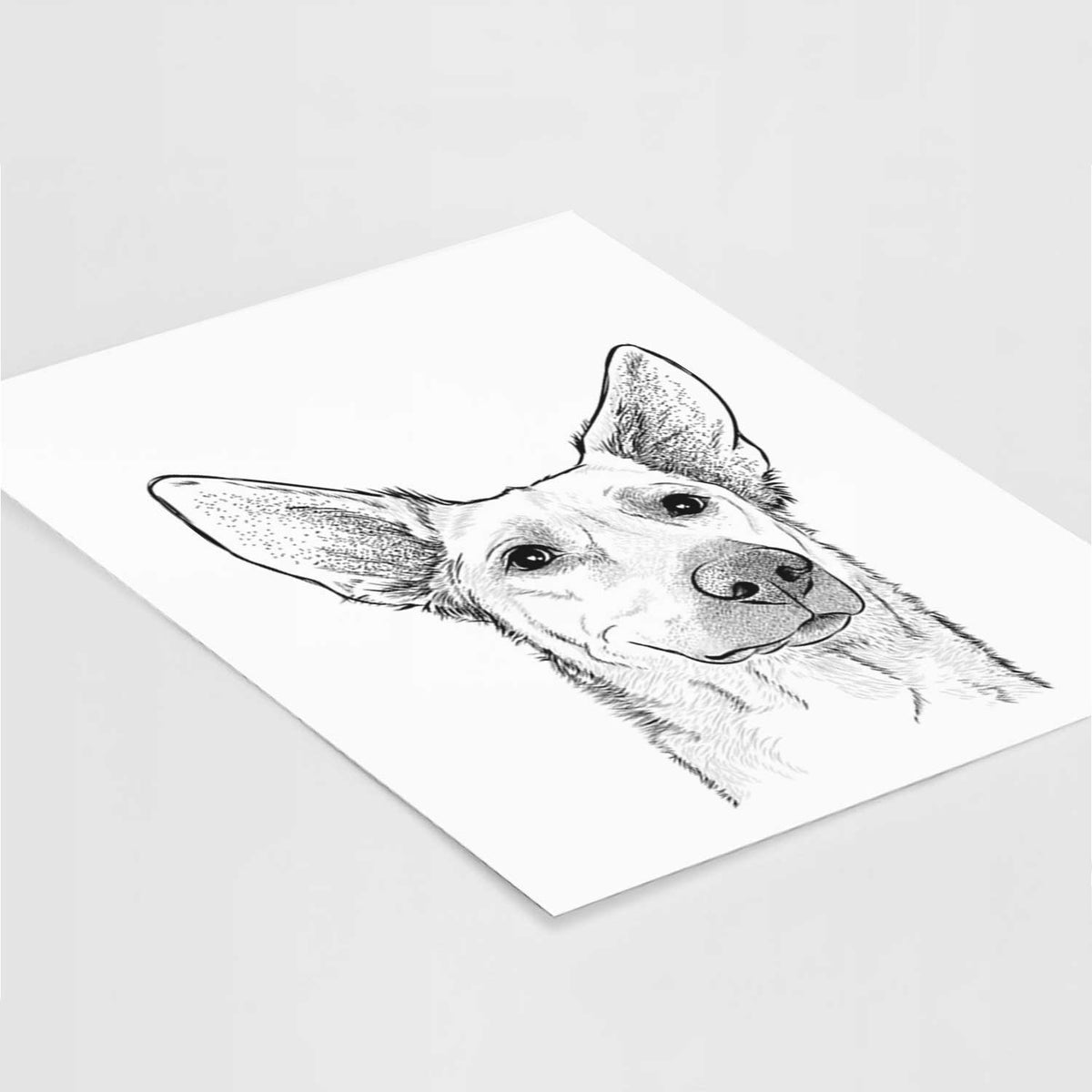 Ember the Shepherd Mix Art Print