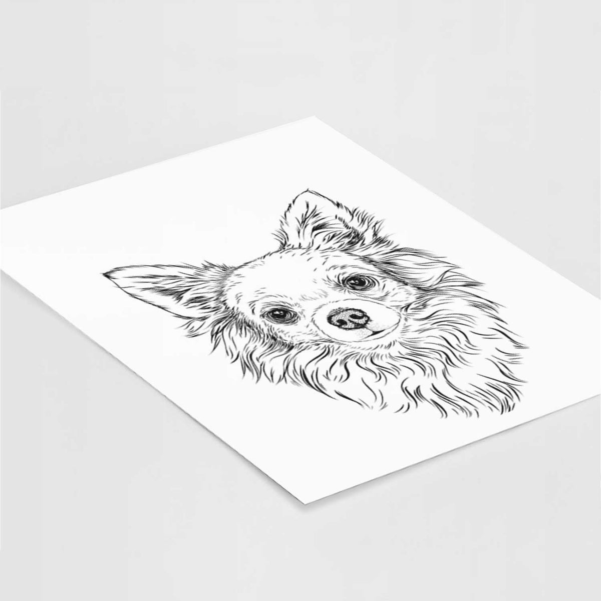 Emma the Longhaired Chihuahua Art Print