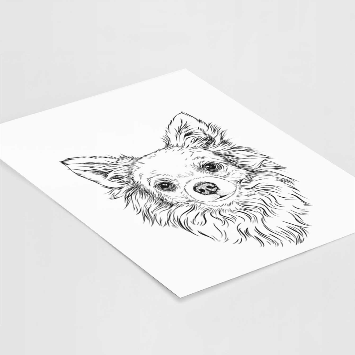 Emma the Longhaired Chihuahua Art Print