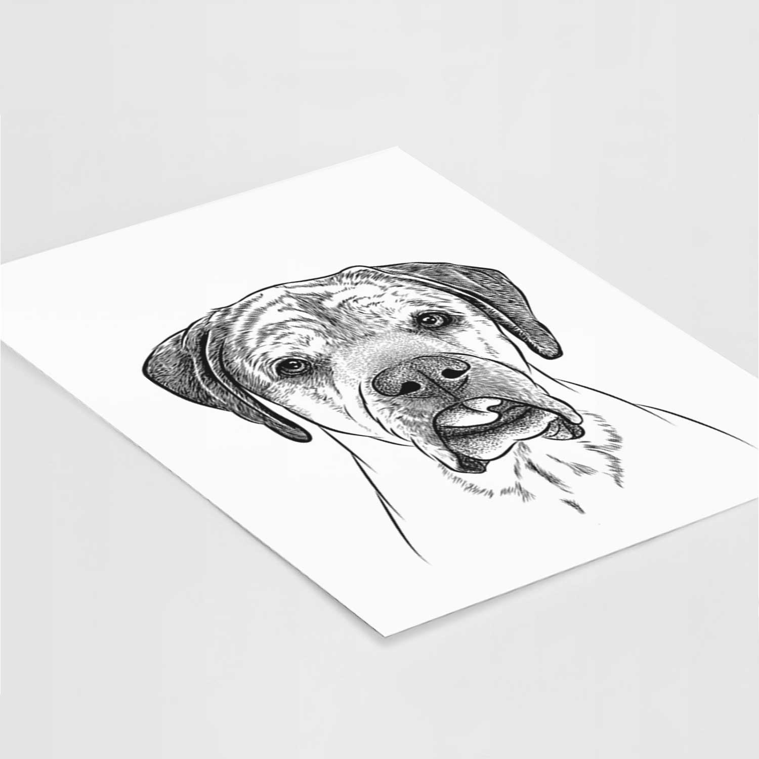 Emma the English Mastiff Art Print