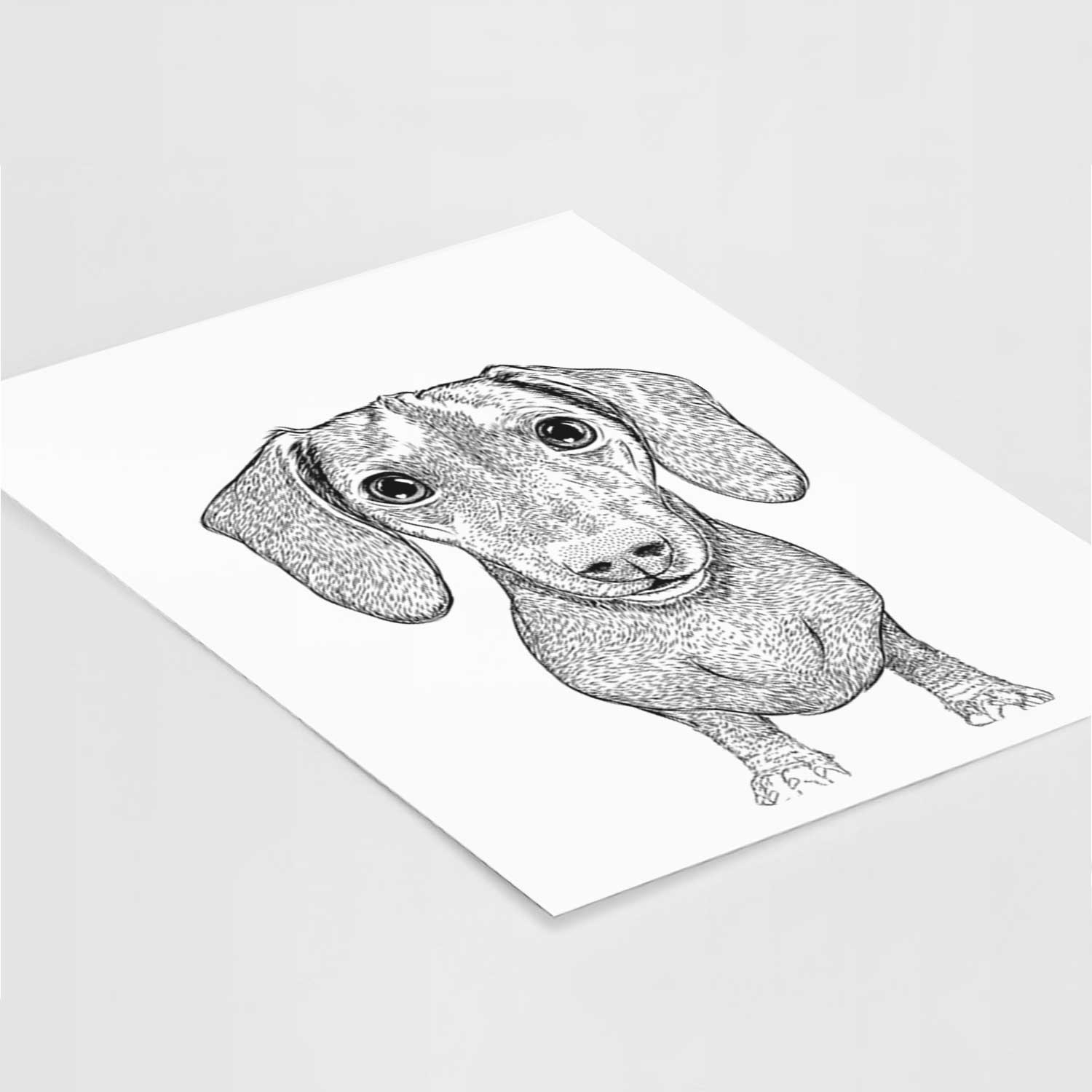 Ernie the Mini Dachshund Art Print