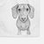 Ernie the Mini Dachshund Decorative Hand Towel