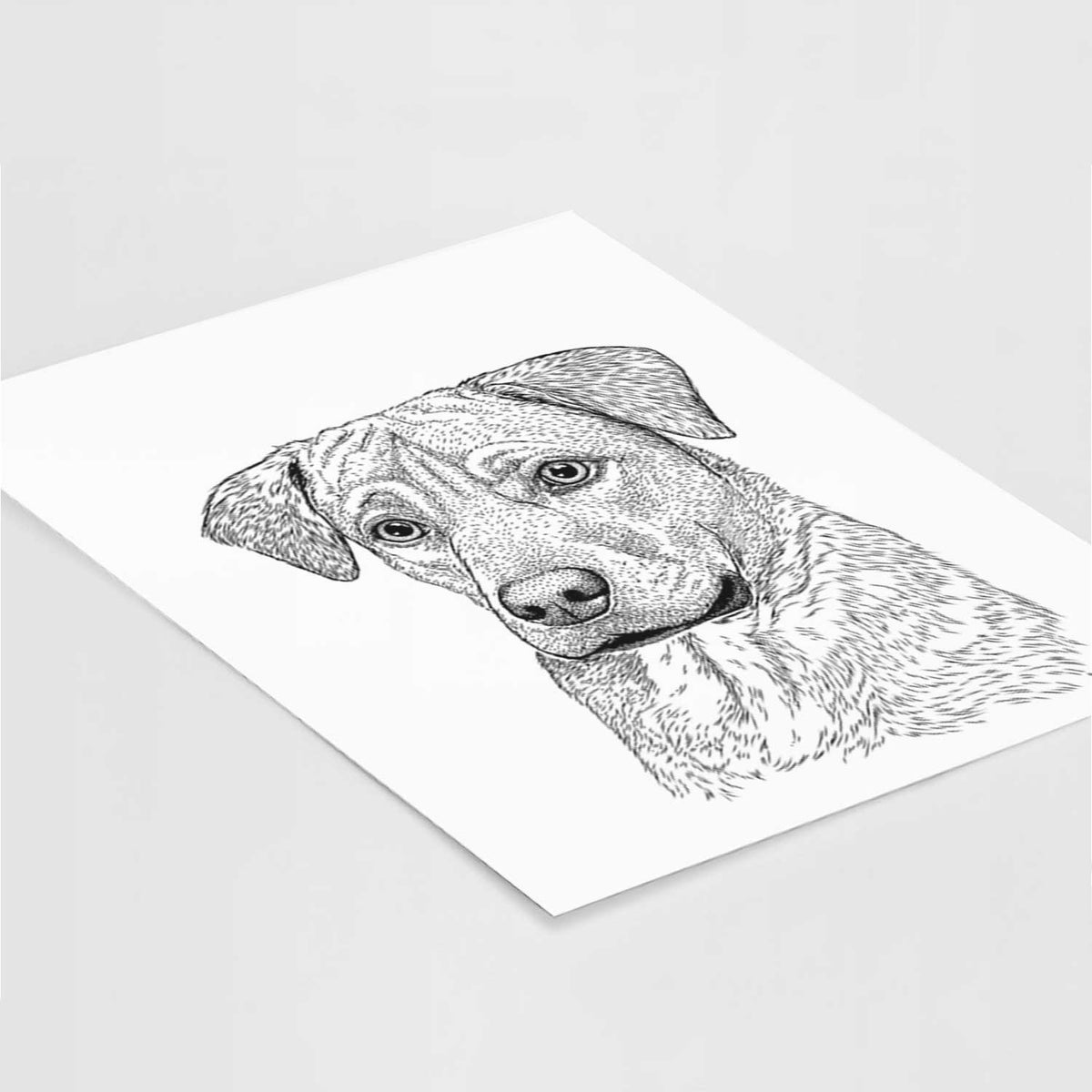 Feta the Mixed Breed Art Print
