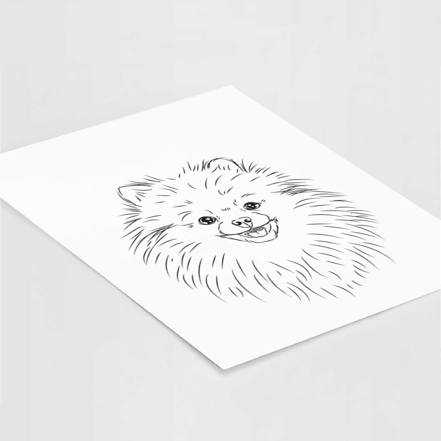 Finn the Pomeranian Art Print