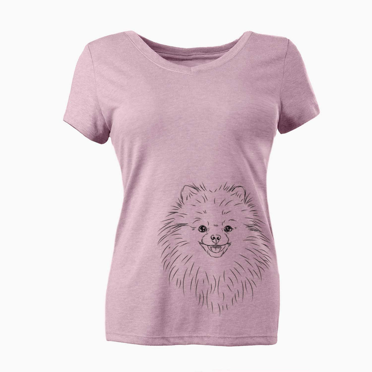 Finn the Pomeranian - Women's V-neck Shirt