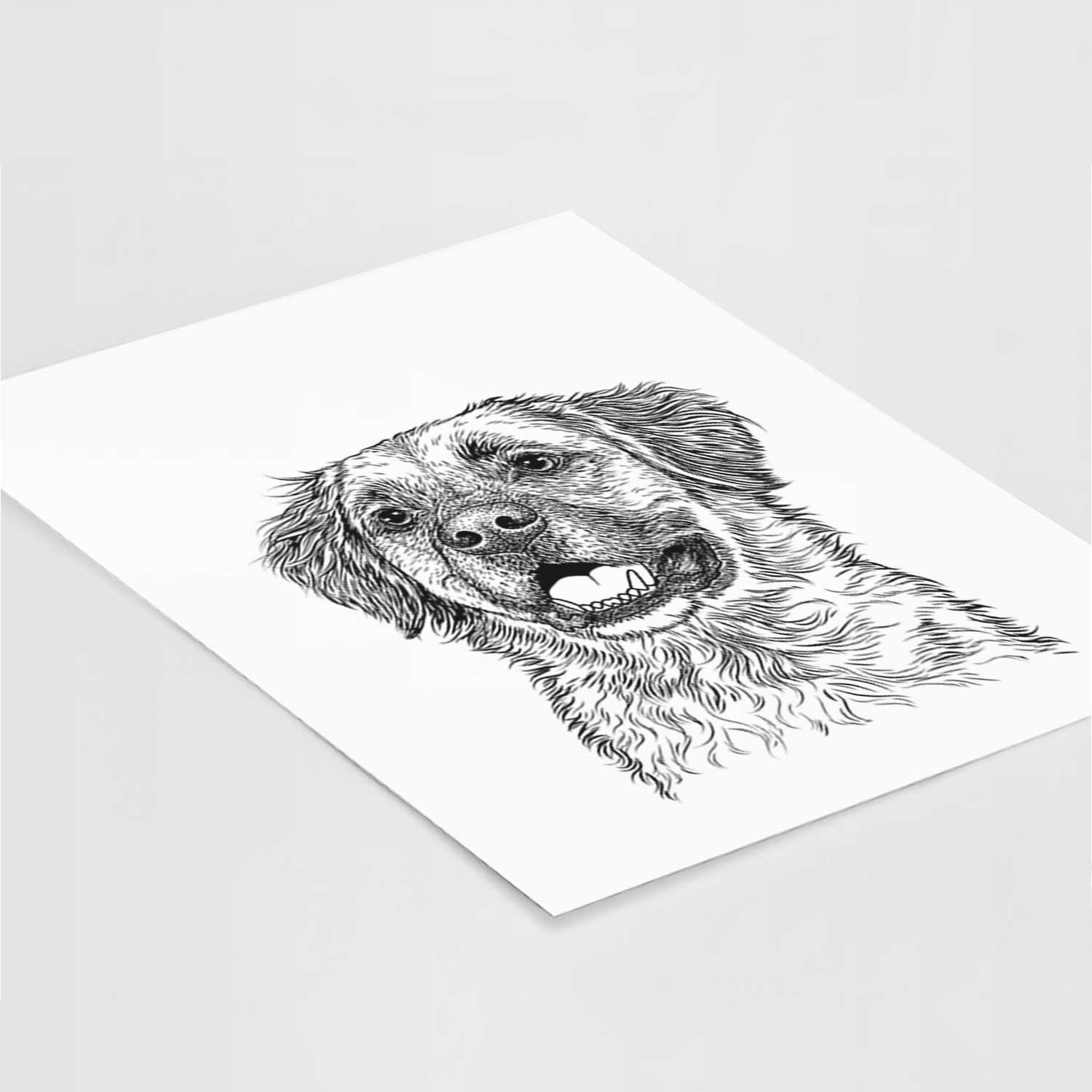 Finn the Mixed Breed Art Print