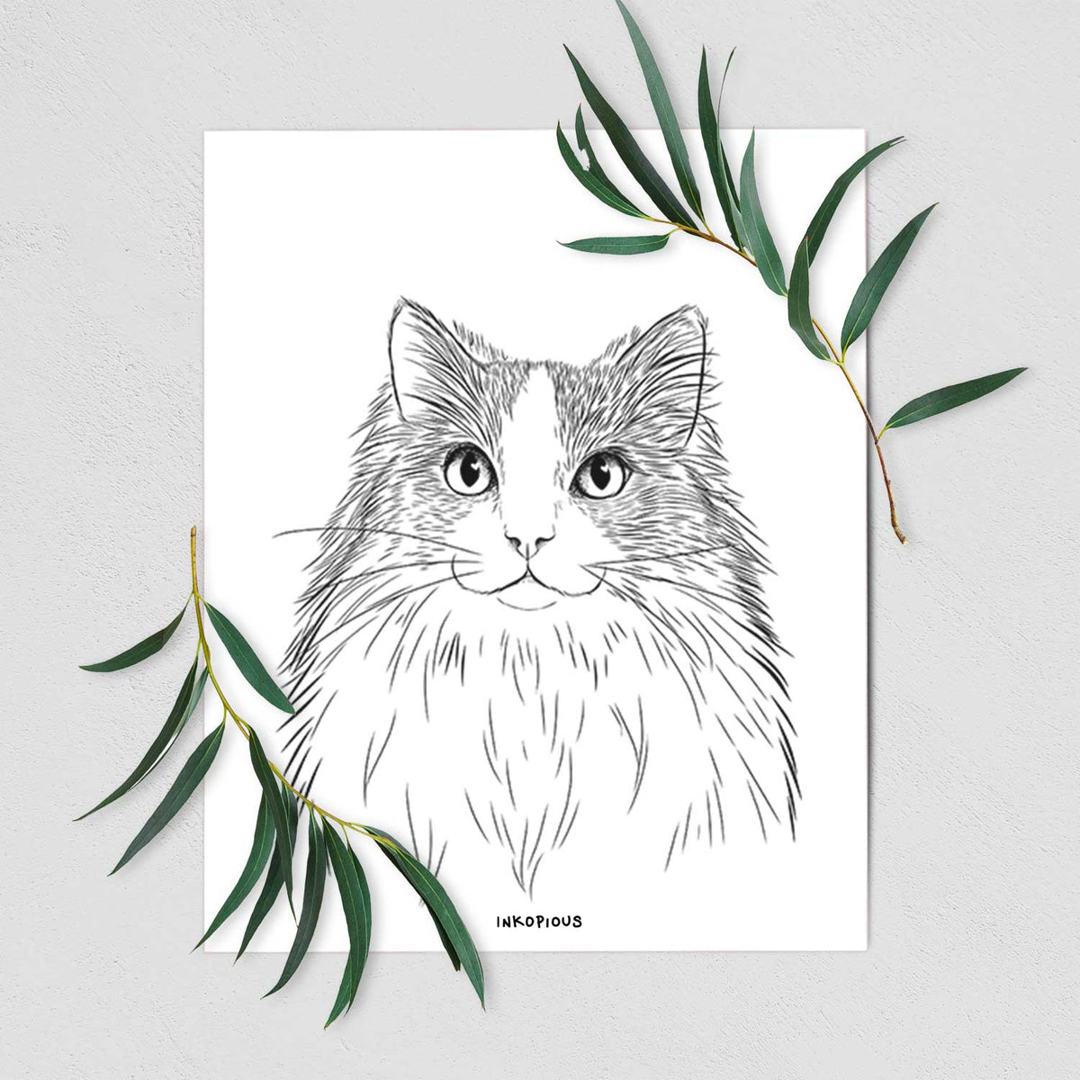 Fiona the Ragdoll Cat Art Print
