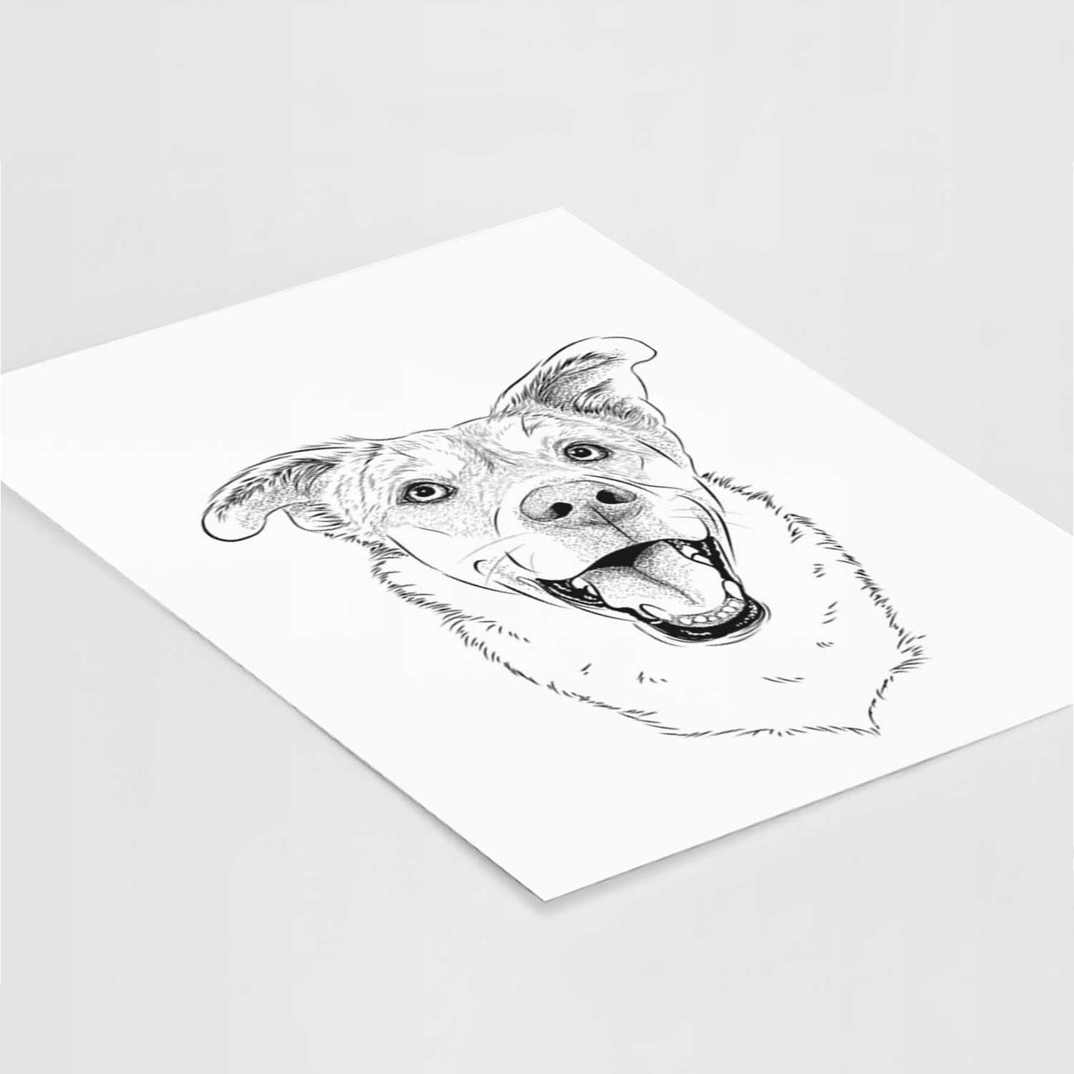 Fira the Saint Bernard Husky Mix Art Print