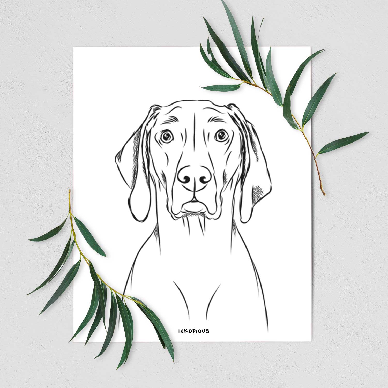 Flint the Weimaraner Art Print