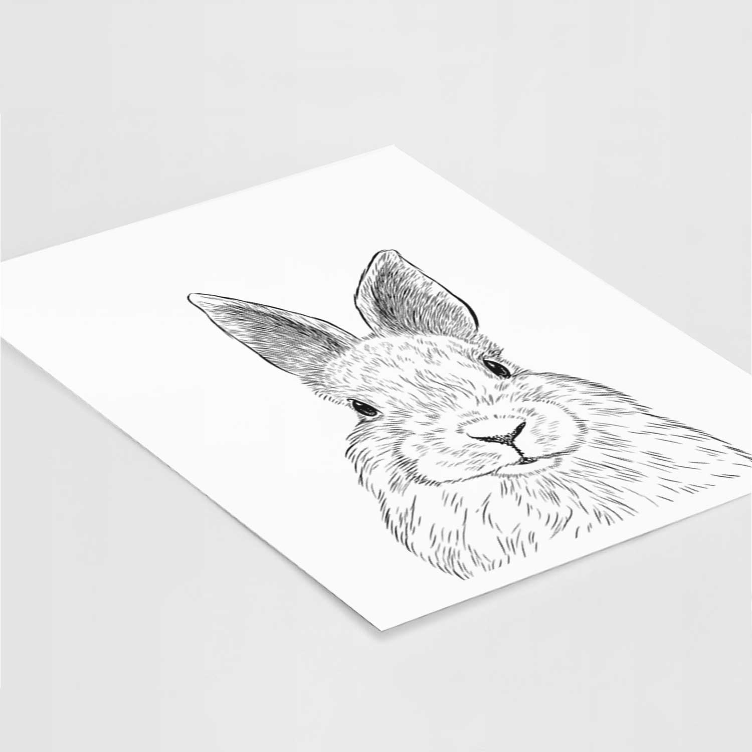Flower the Rex Rabbit Art Print