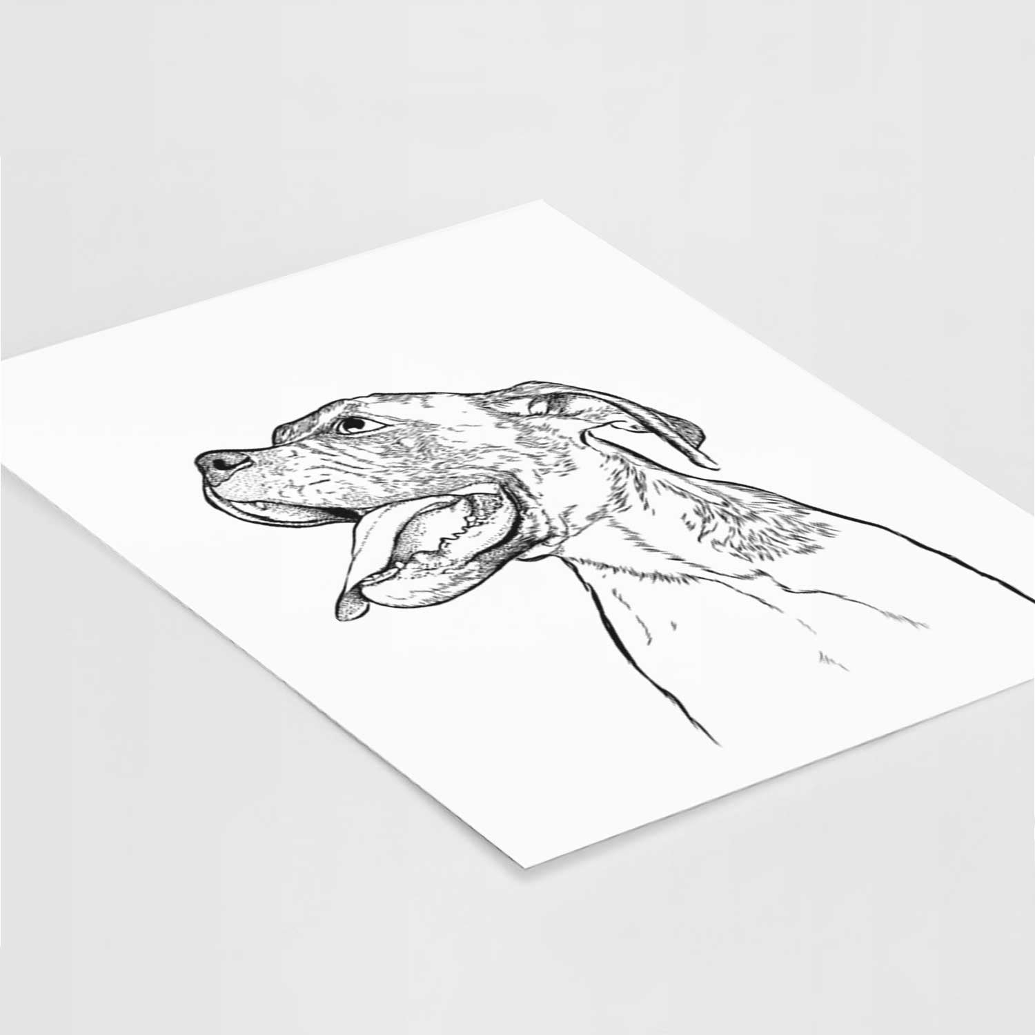 Floyd the Boxer Art Print