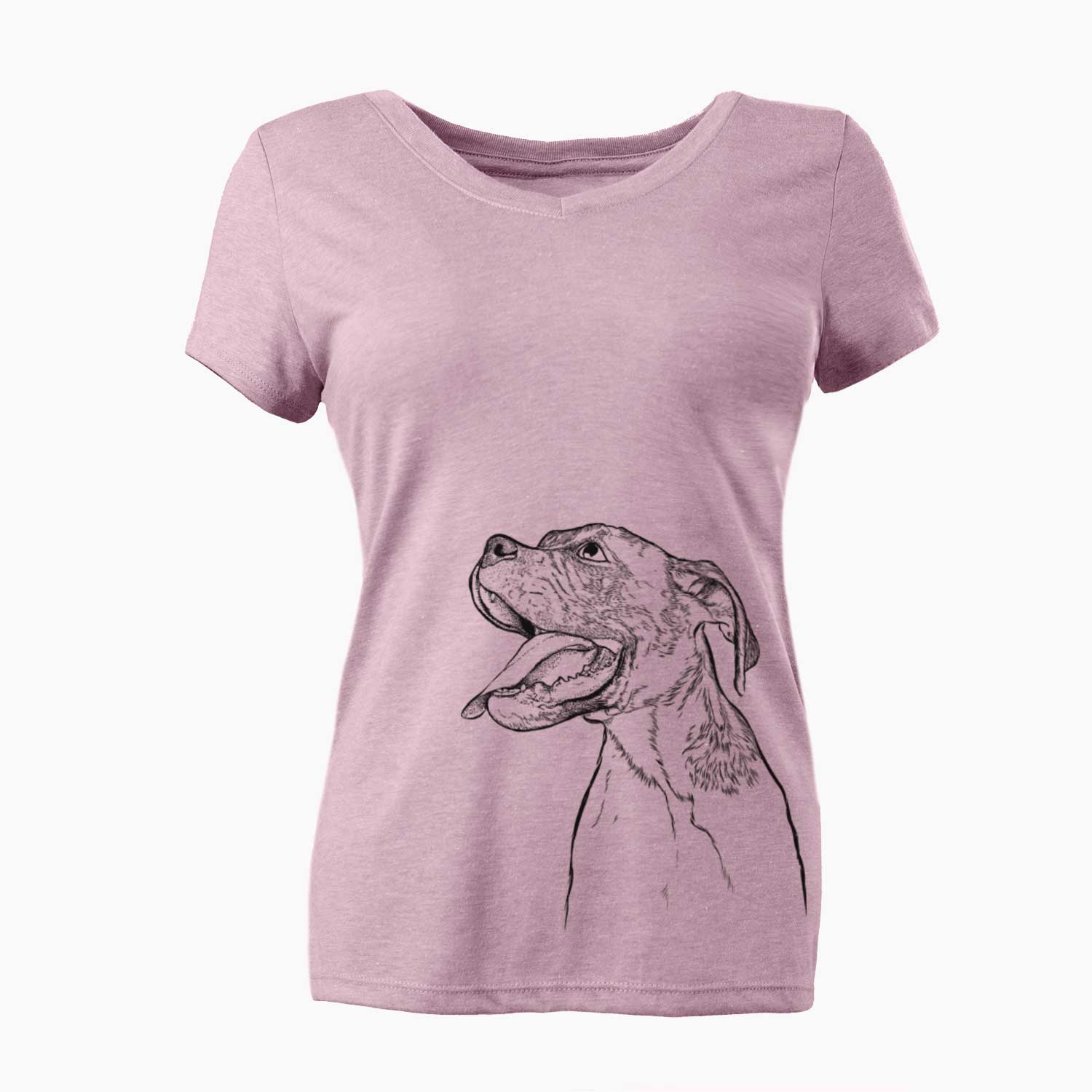 Bare Floyd the Boxer - Women's V-neck Shirt