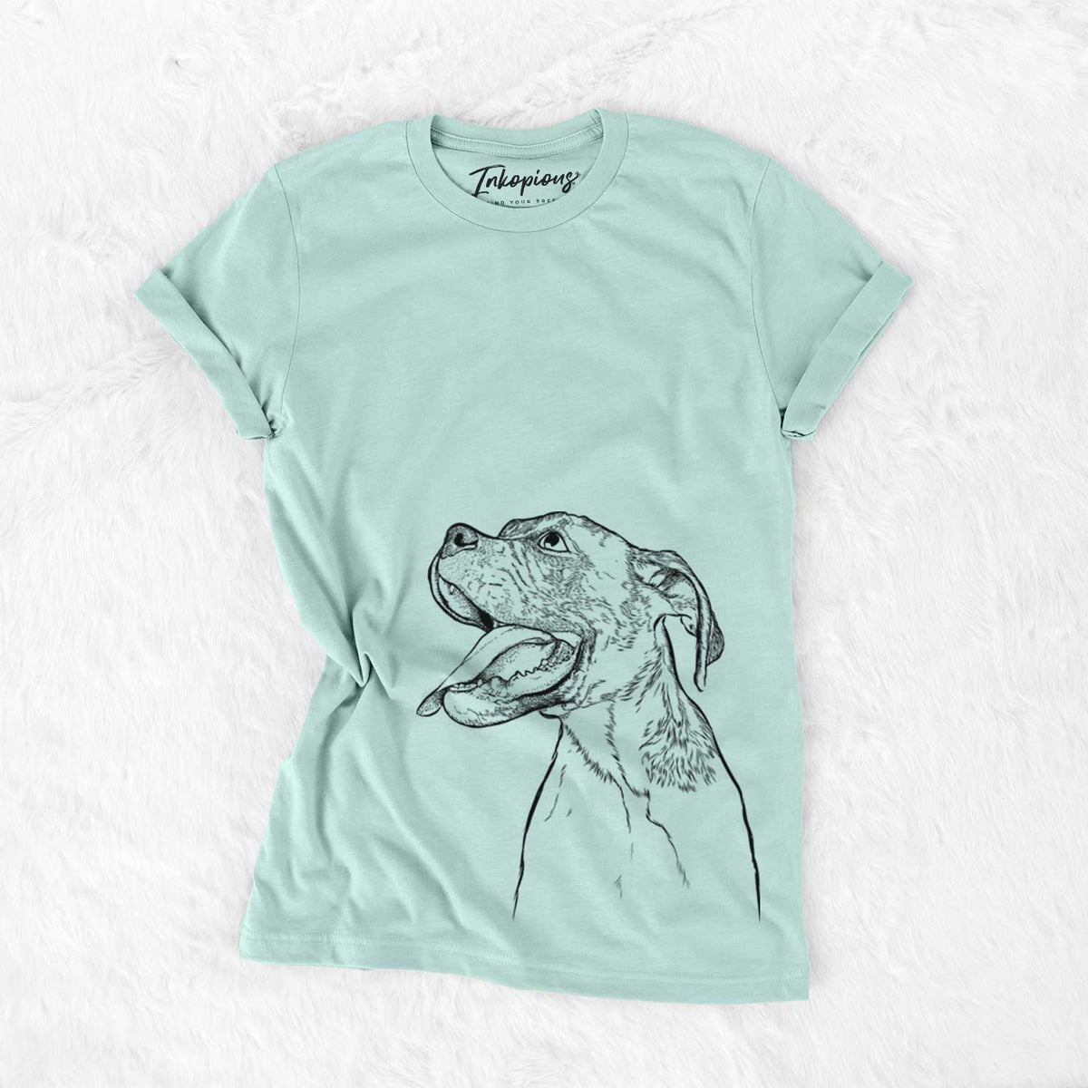 Floyd the Boxer - Bella Canvas Unisex Crewneck