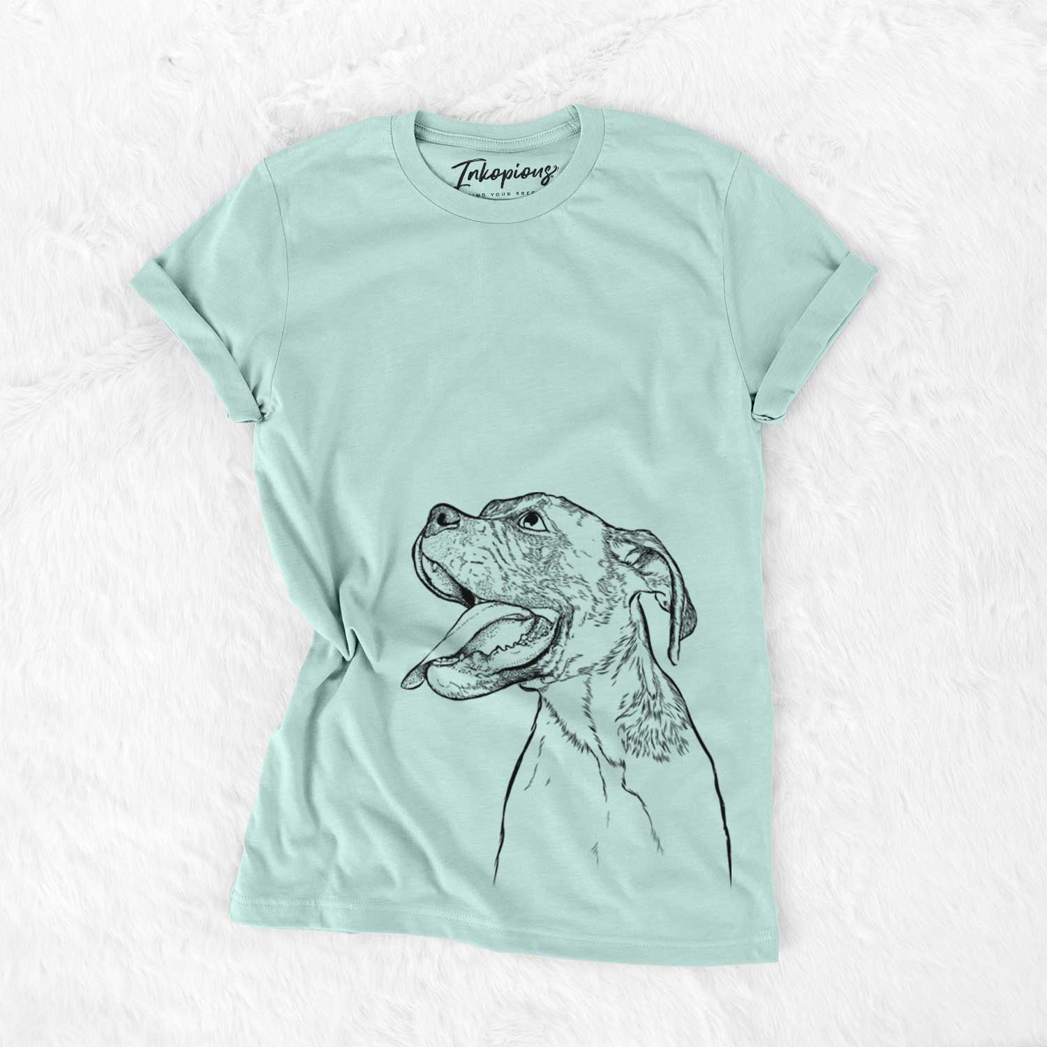 Floyd the Boxer - Bella Canvas Unisex Crewneck