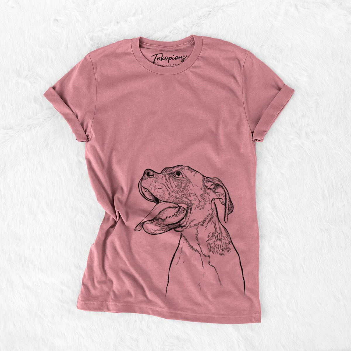 Floyd the Boxer - Bella Canvas Unisex Crewneck