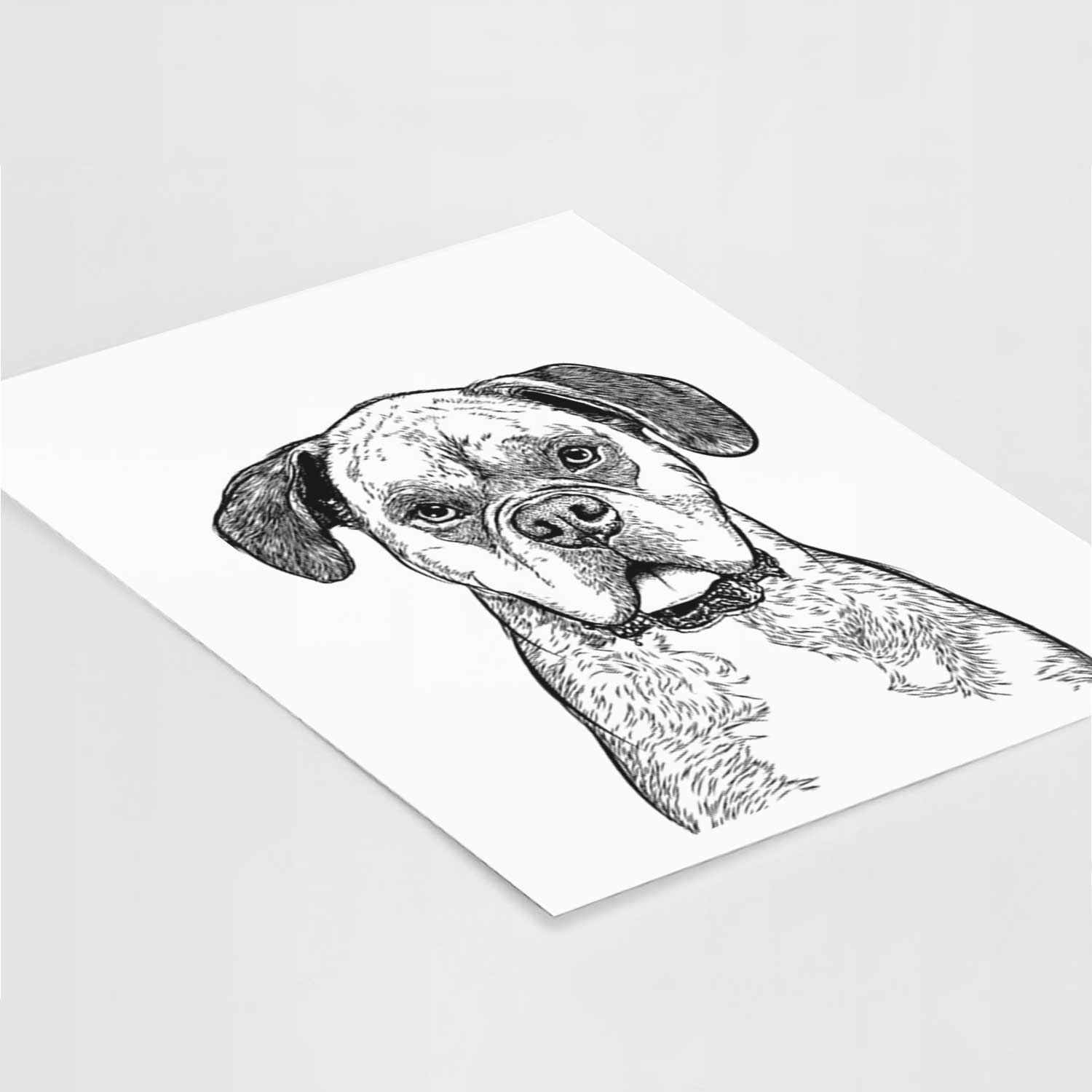 Floydie Bear the Boxer Art Print