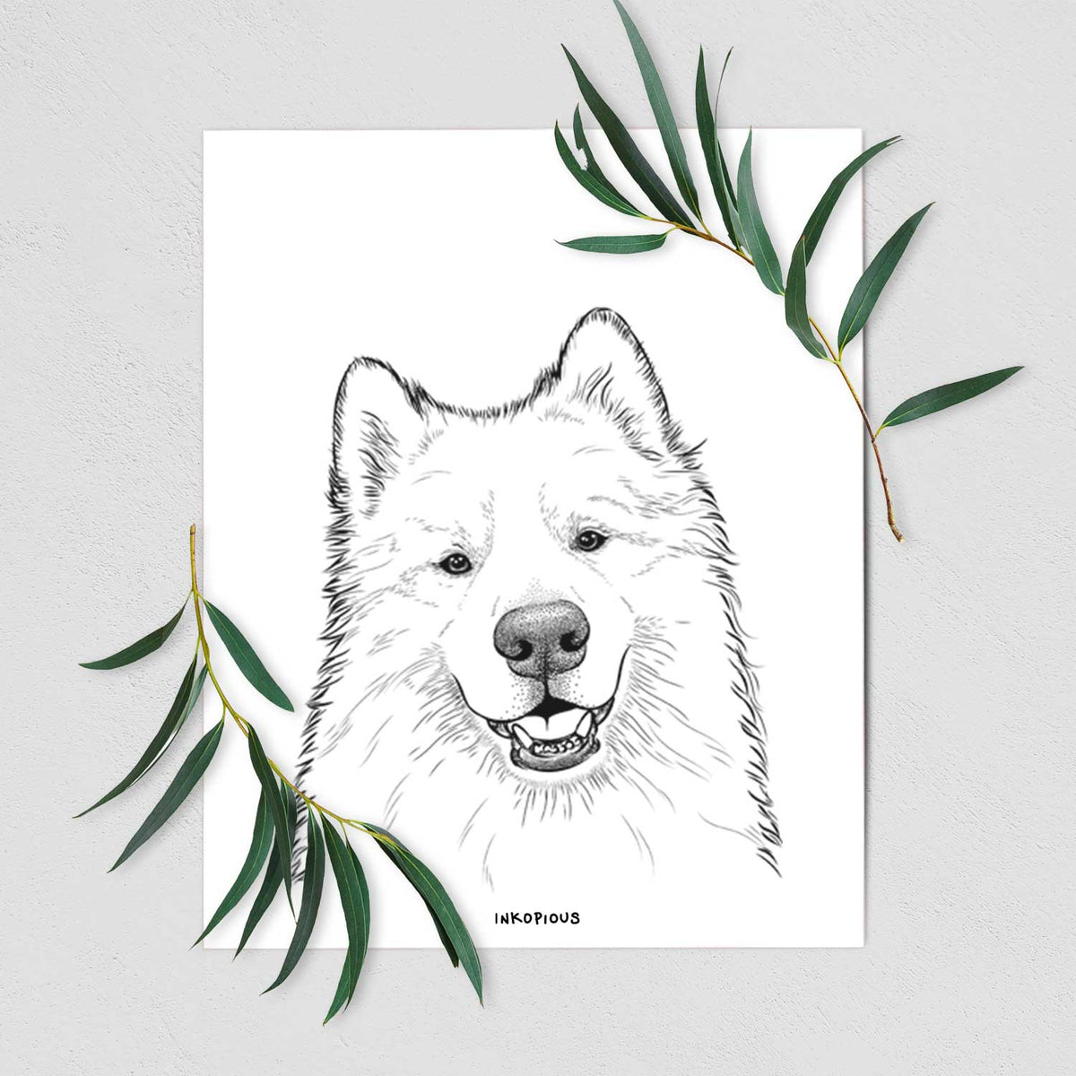 Foster the Samoyed Art Print