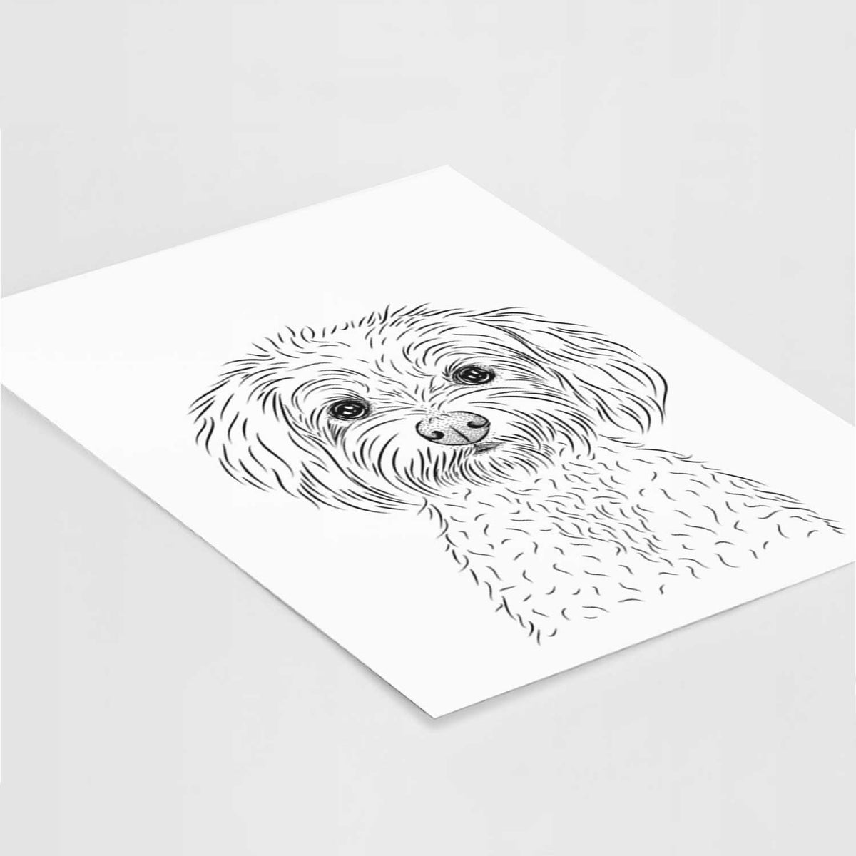Francesca the Maltipoo Art Print