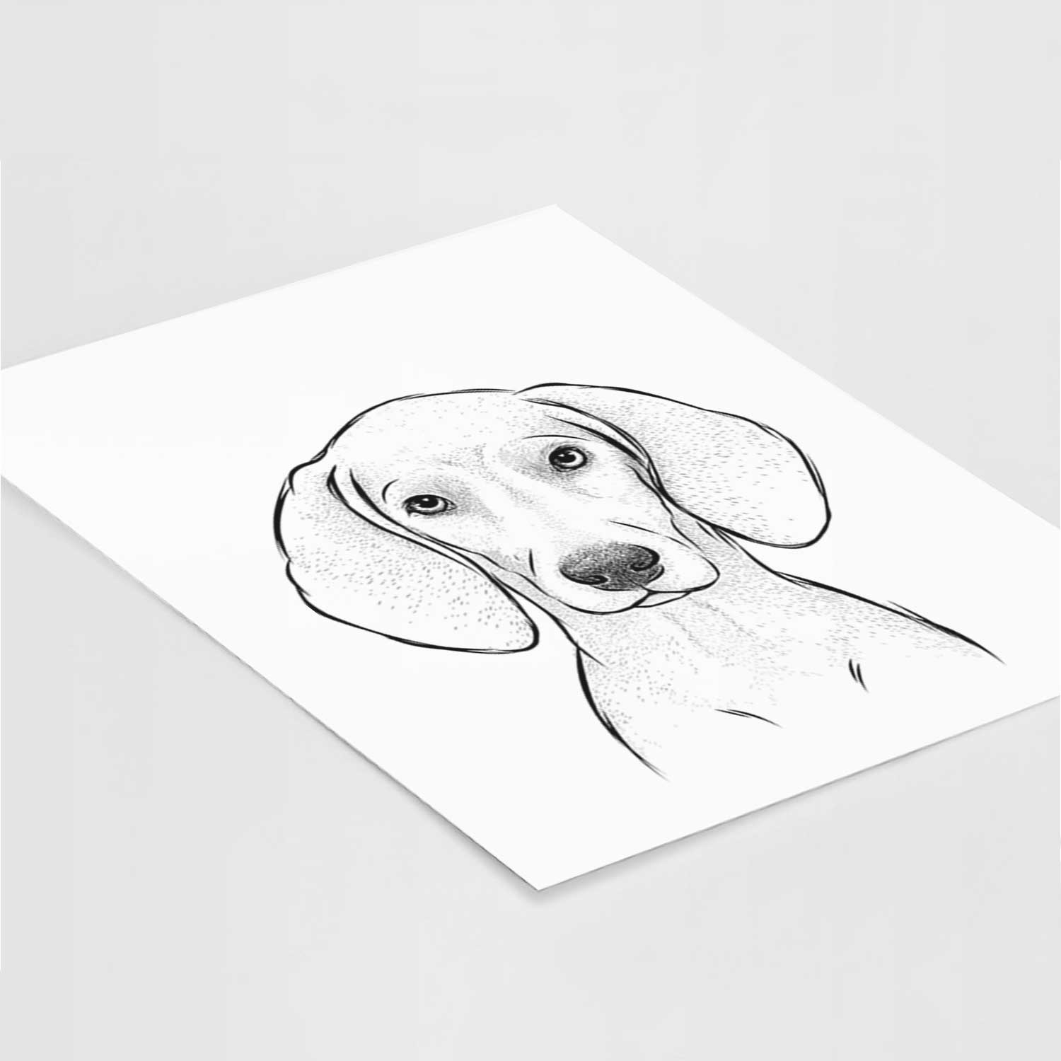 Frejya the Weimaraner Art Print