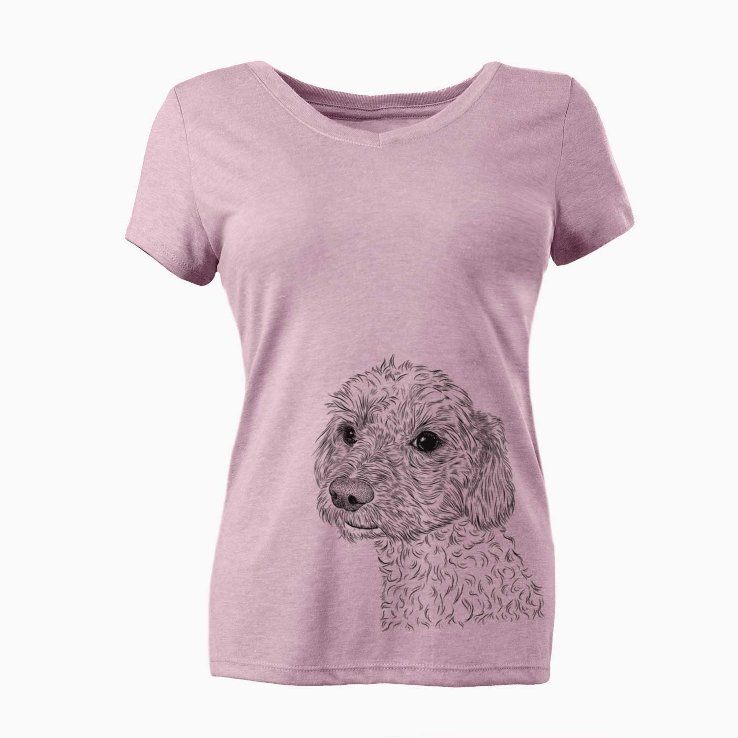 Bare Georgie Boy the Mixed Breed - Women's V-neck Shirt