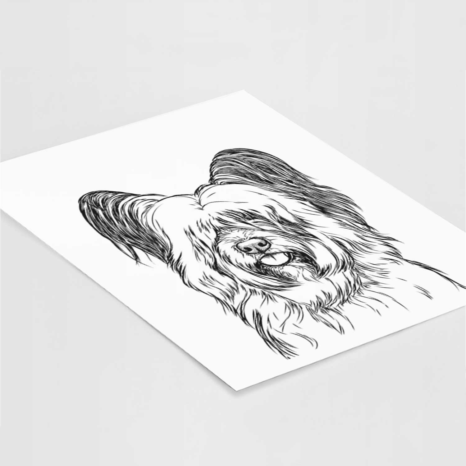 Gideon the Skye Terrier Art Print