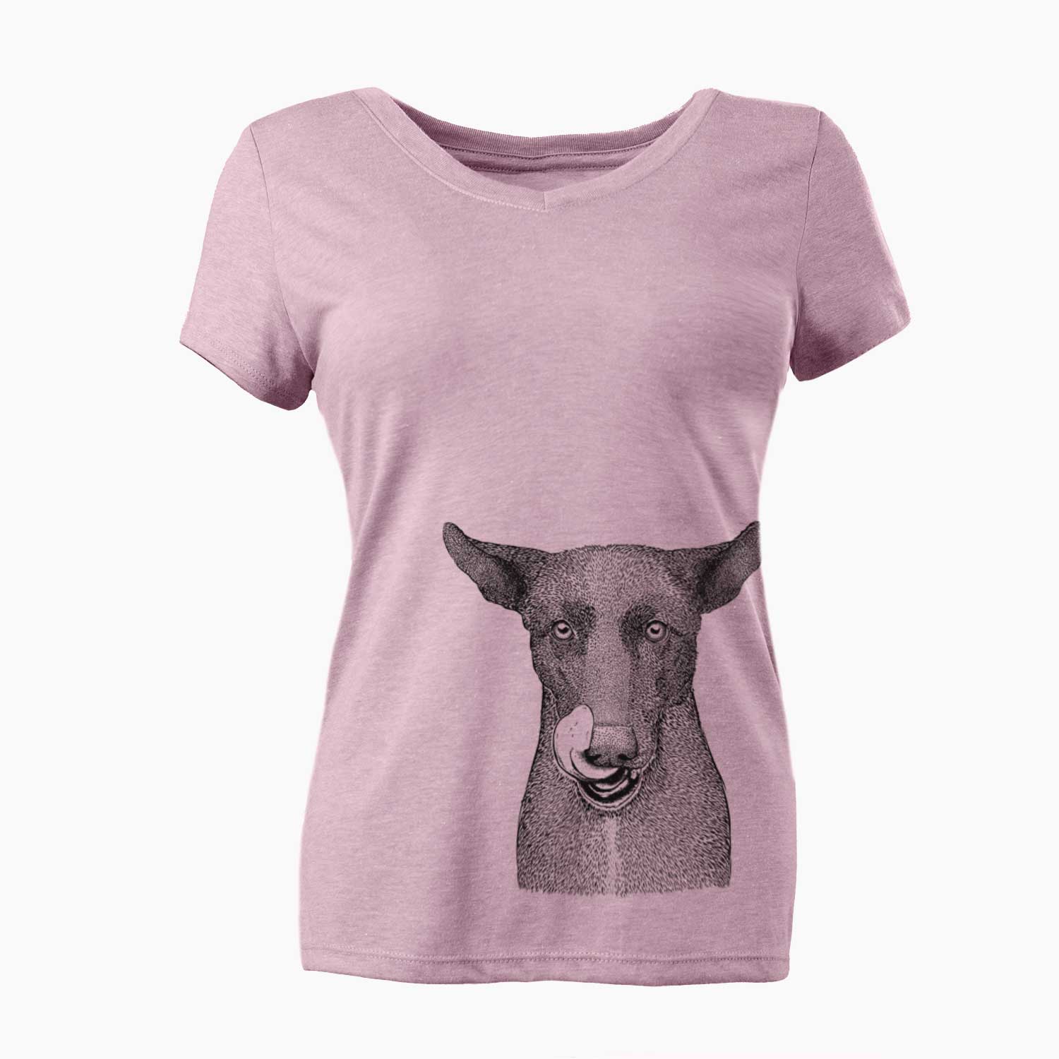 Bare Gidget the Mexican Street Dog - Women's V-neck Shirt