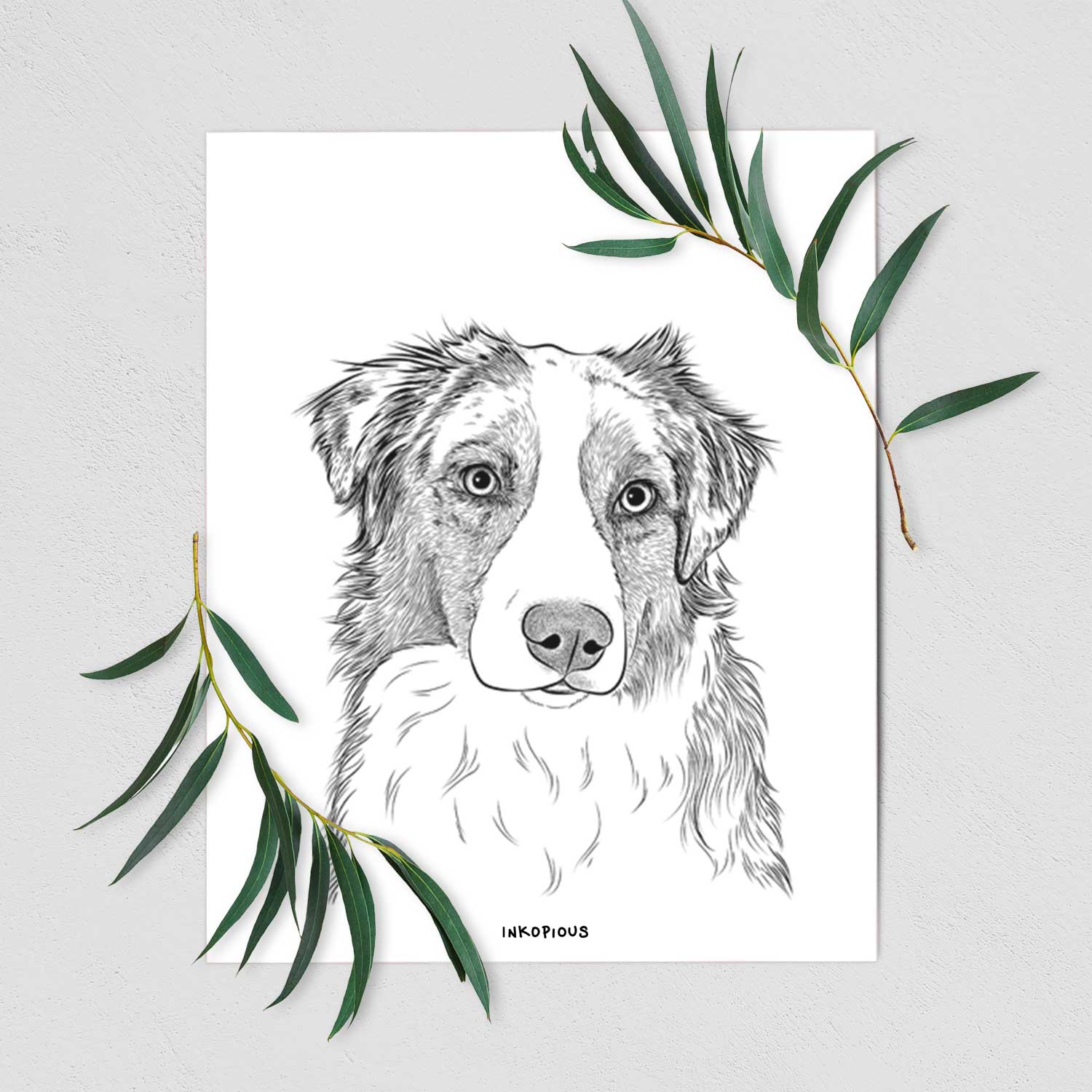 Ginger the Australian Shepherd Art Print