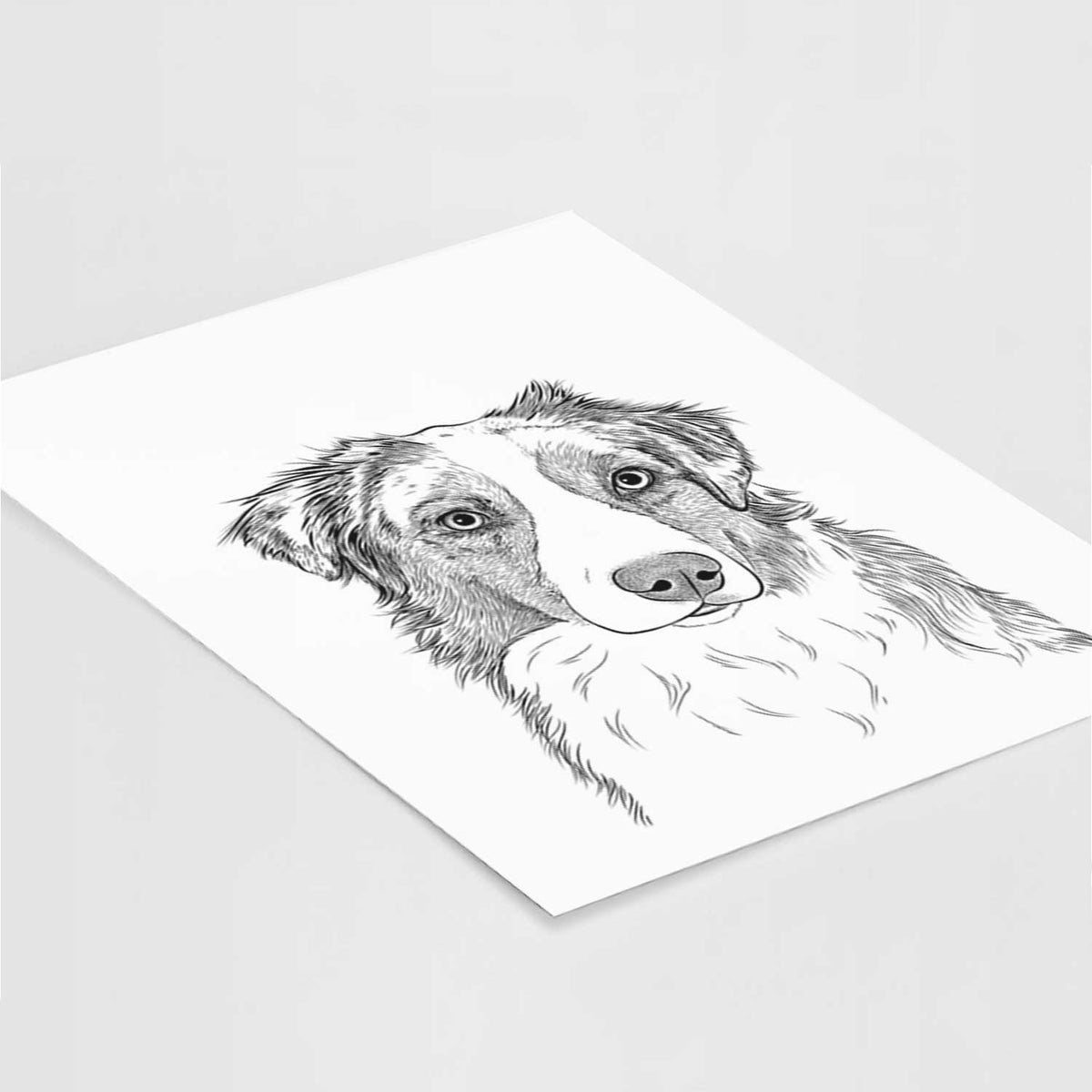 Ginger the Australian Shepherd Art Print