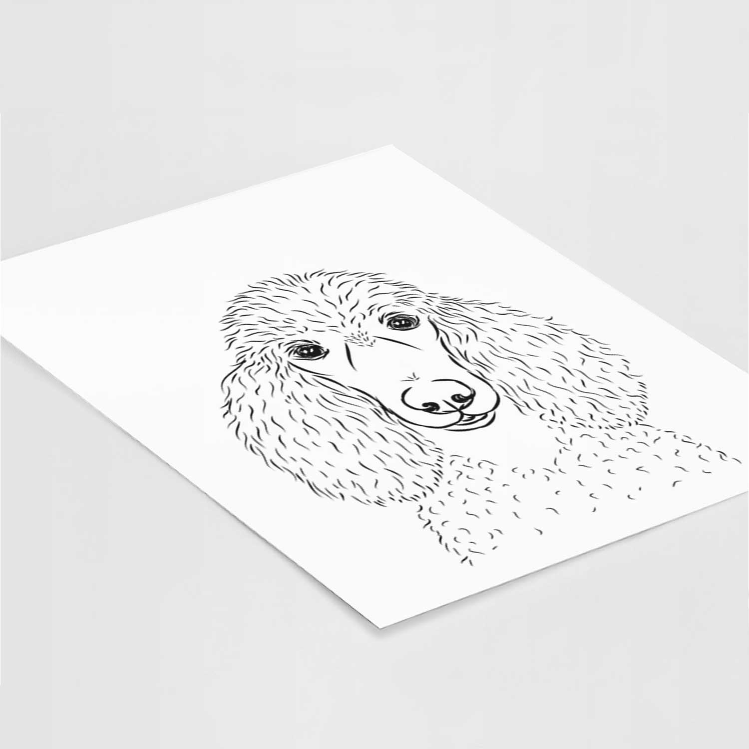 Giovanni the Poodle Art Print