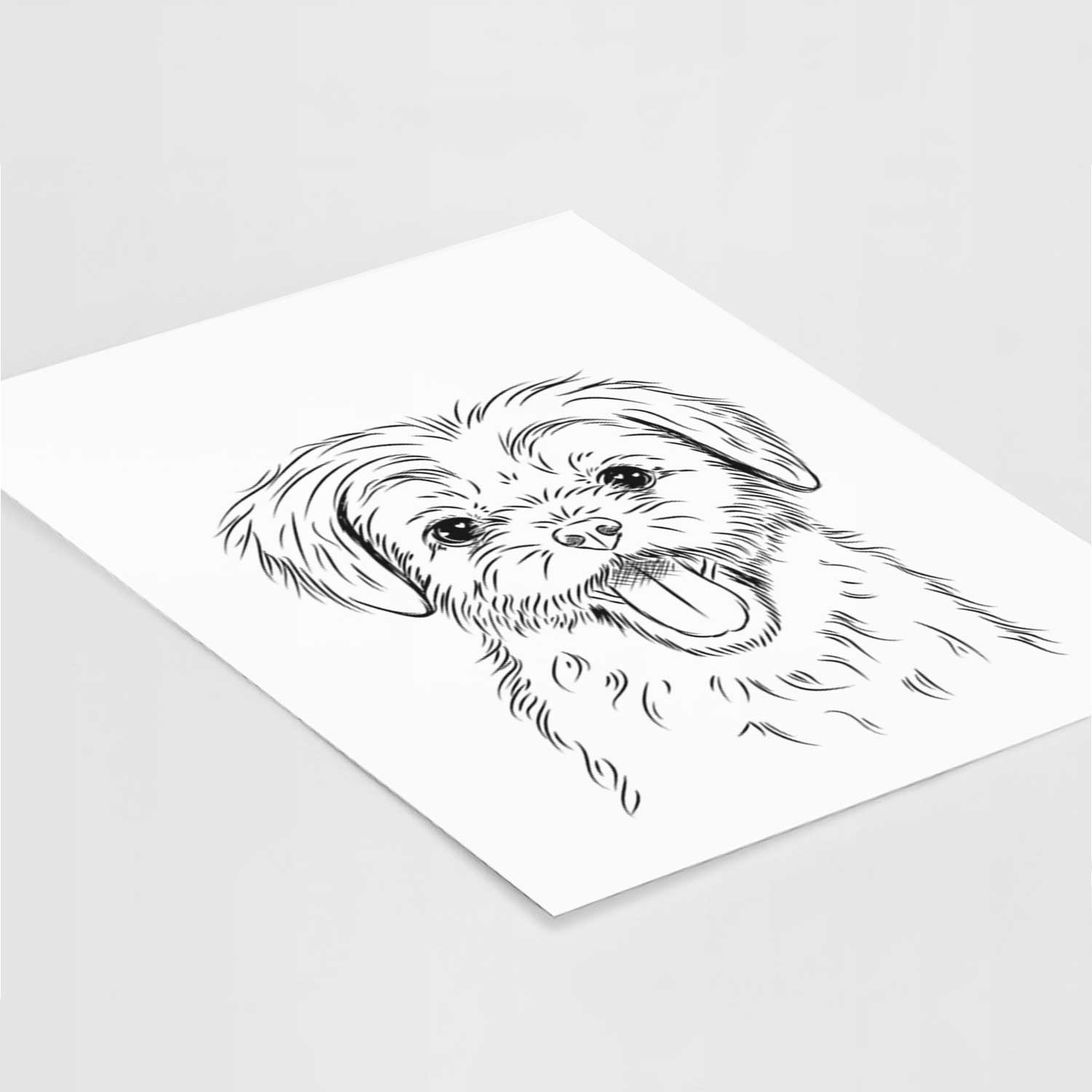 Gizmo the Maltese Art Print