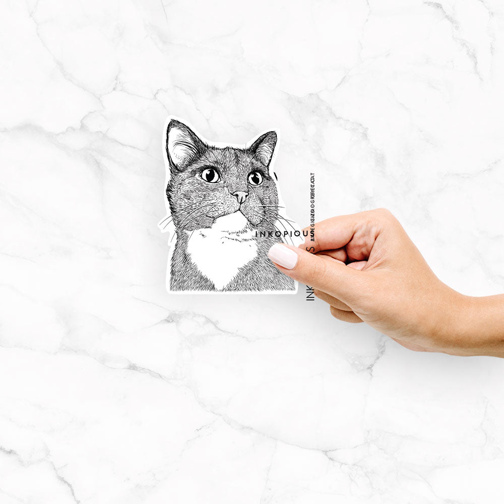 Gizmo the Grey Cat - Decal Sticker