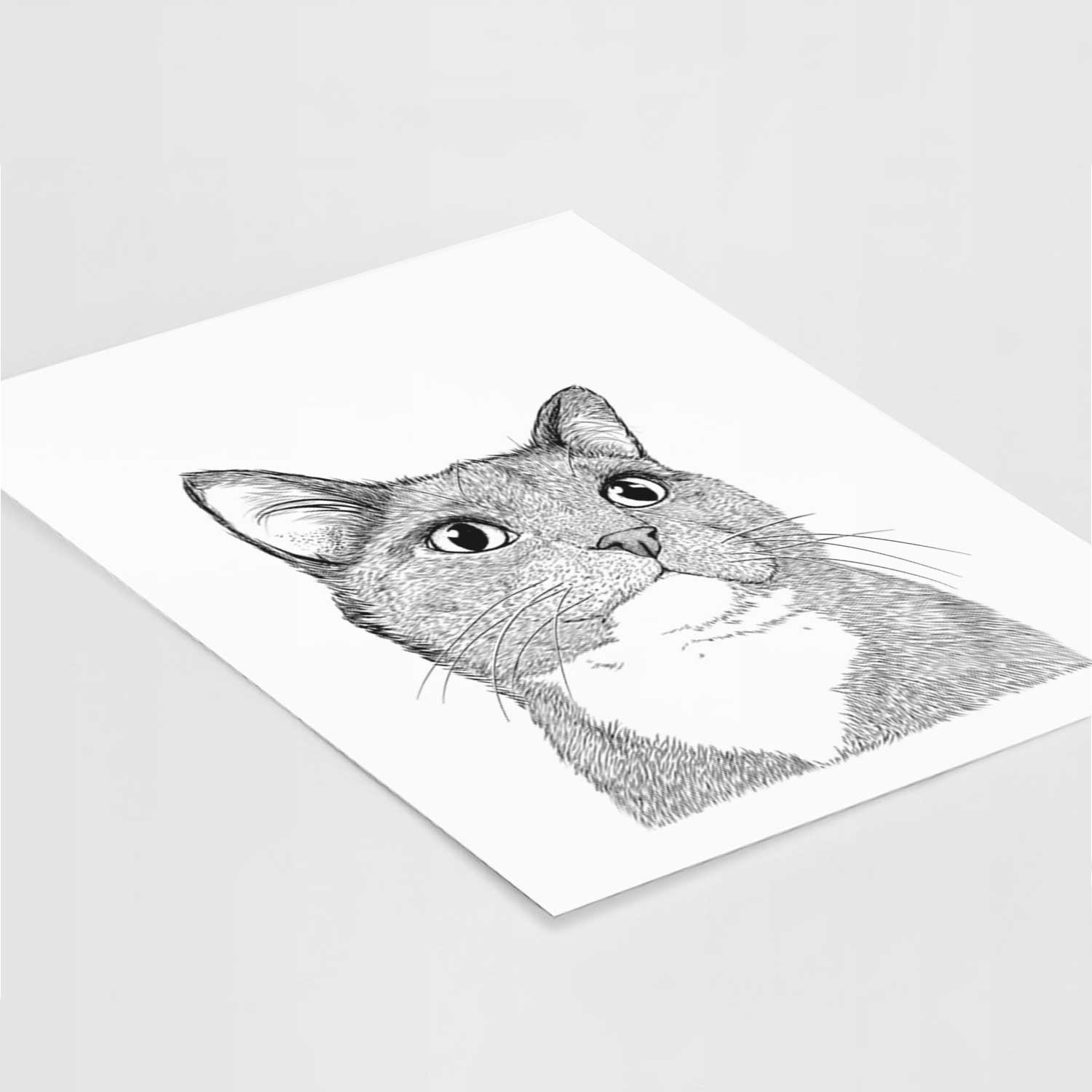 Gizmo the Cat Art Print