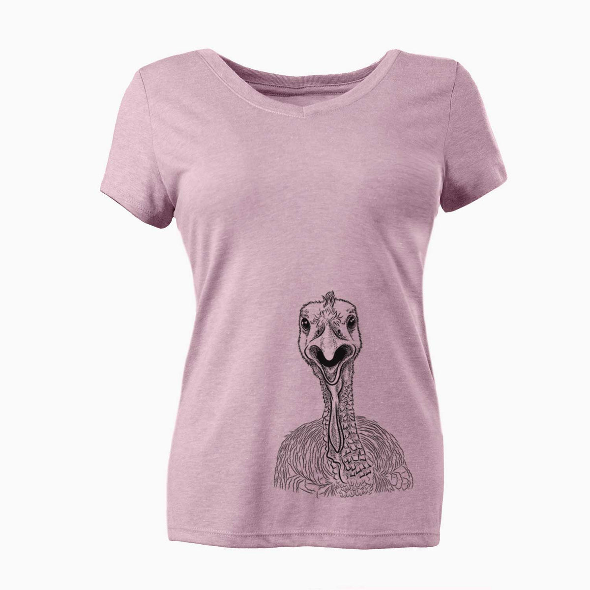 Bare Gobble the Turkey - Women's V-neck Shirt