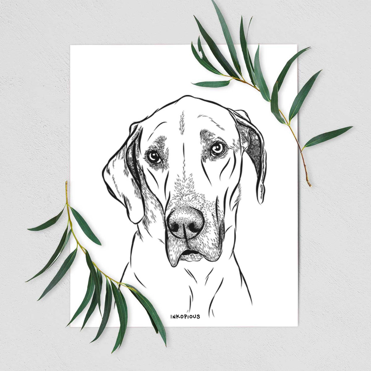 Gracie the Great Dane Art Print