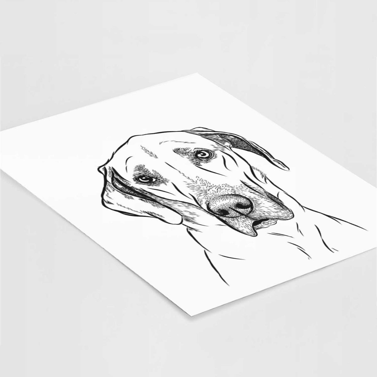 Gracie the Great Dane Art Print