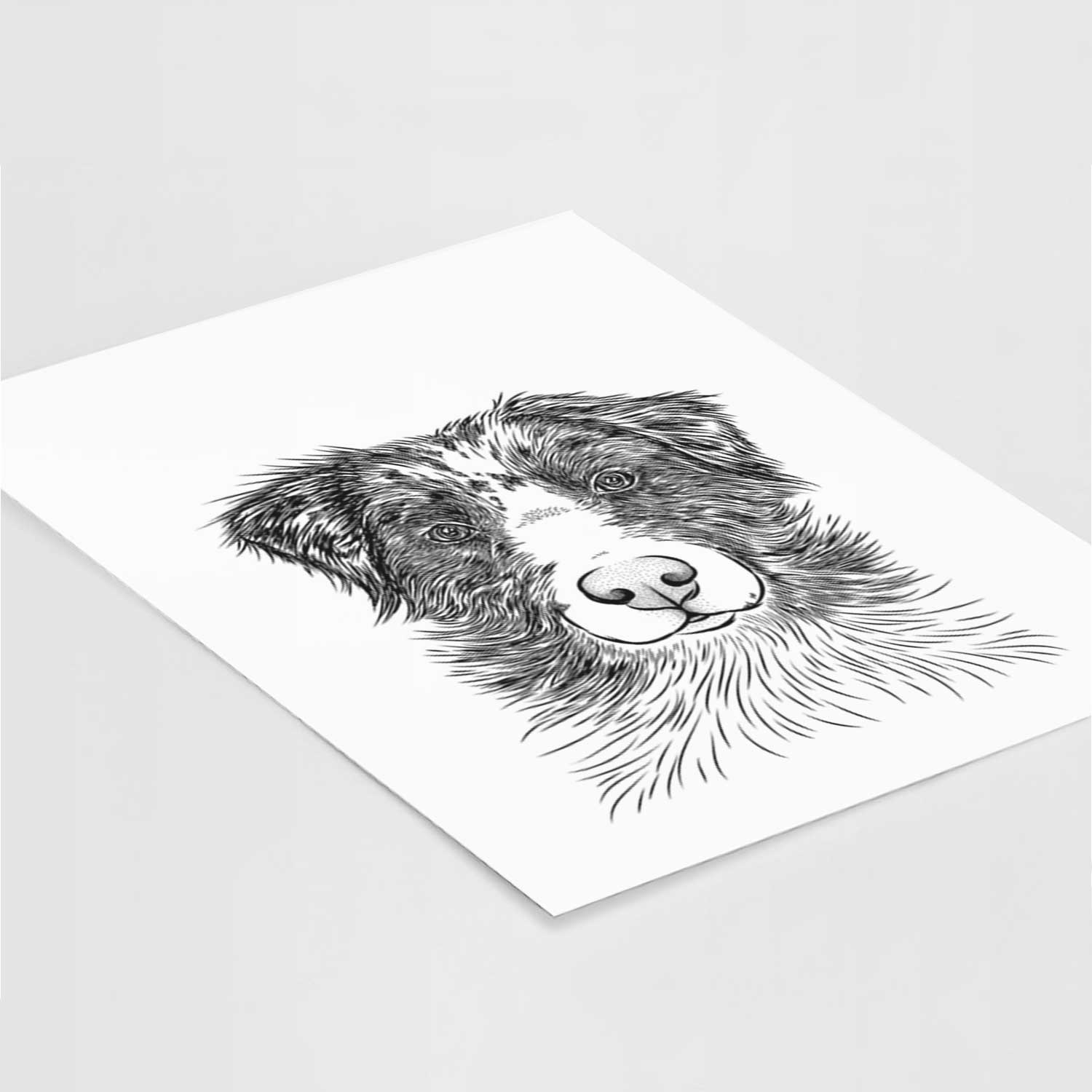 Gram the Australian Shepherd Art Print