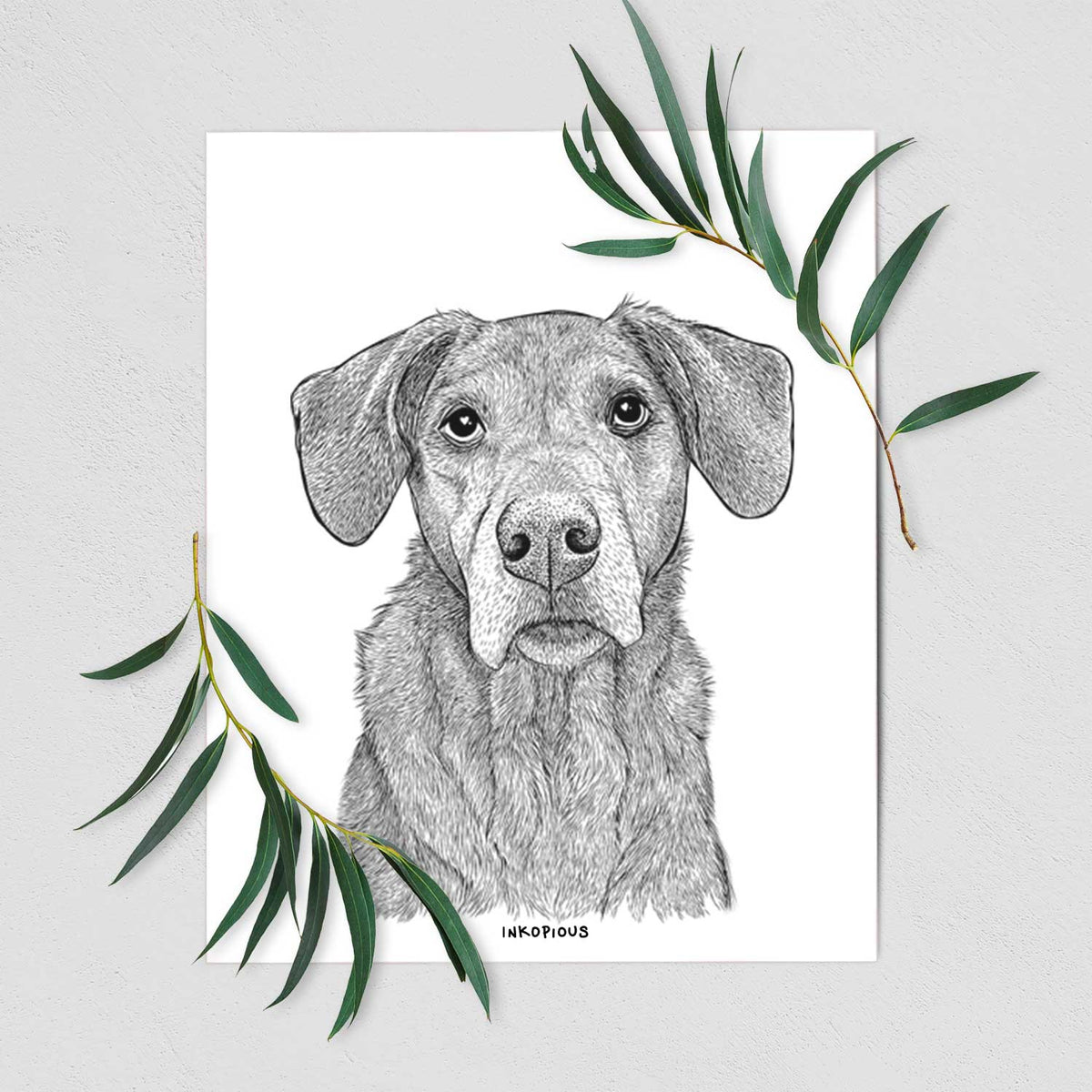 Gravy the Plott Hound Beagle Mix Art Print